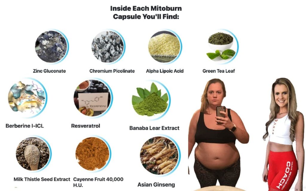 Active Mitoburn Ingredients And Their Clinically Proven Benefits