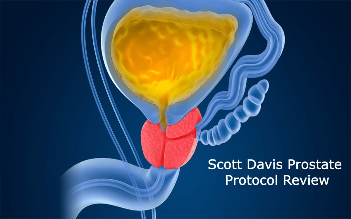 Scott Davis Prostate Protocol Reviews - Is the Scott Davis Prostate Protocol Legit? Get the Facts Right Before You Decide!