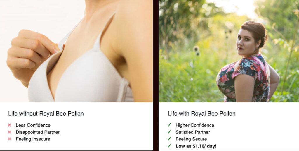 Is Royal Bee Pollen Worth It? Review of Ingredients, Benefits 4 Reported Benefits of Royal Bee Pollen