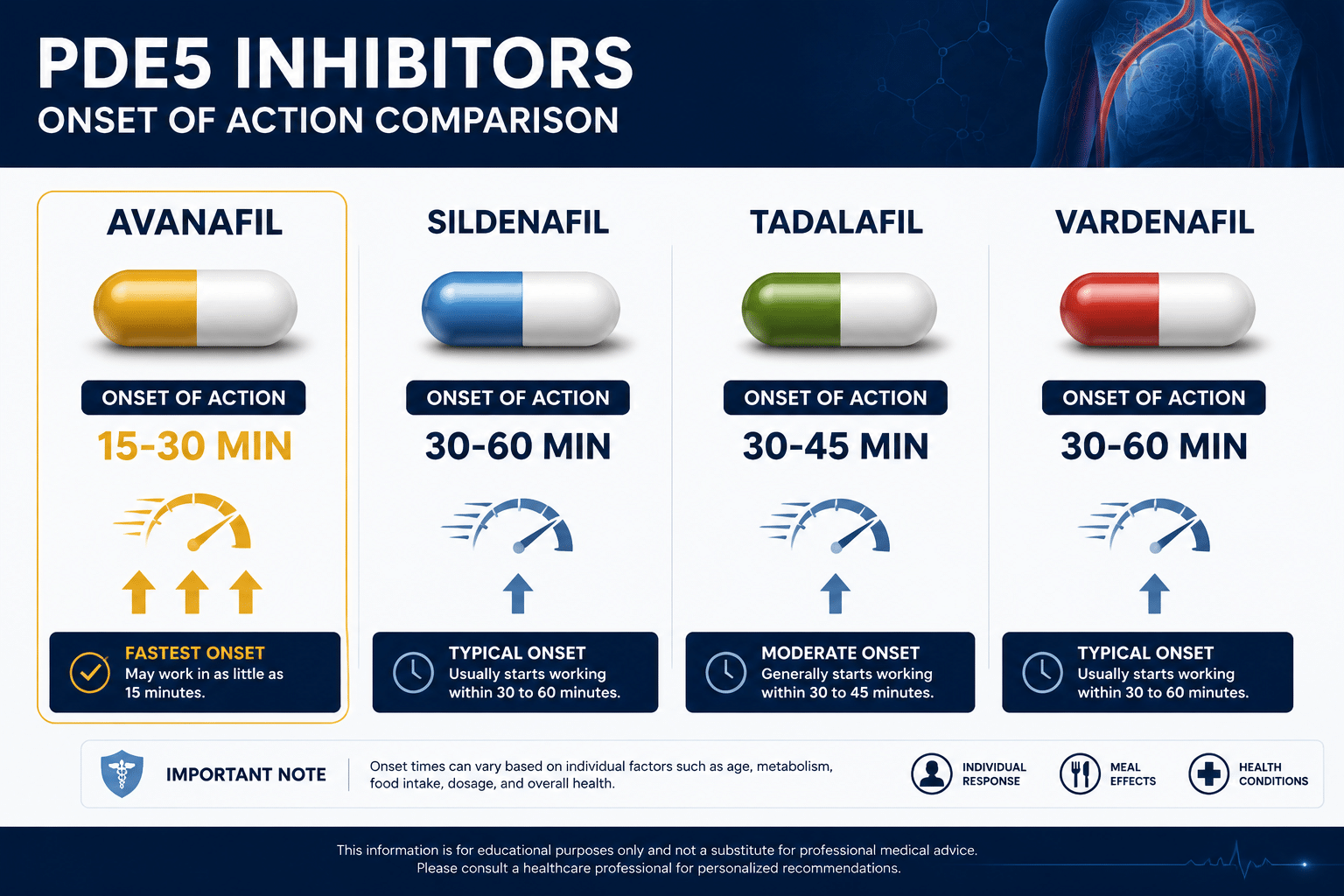 Detailed () clinical comparison infographic illustration showing four pill capsules labeled Avanafil, Sildenafil, Tadalafil,