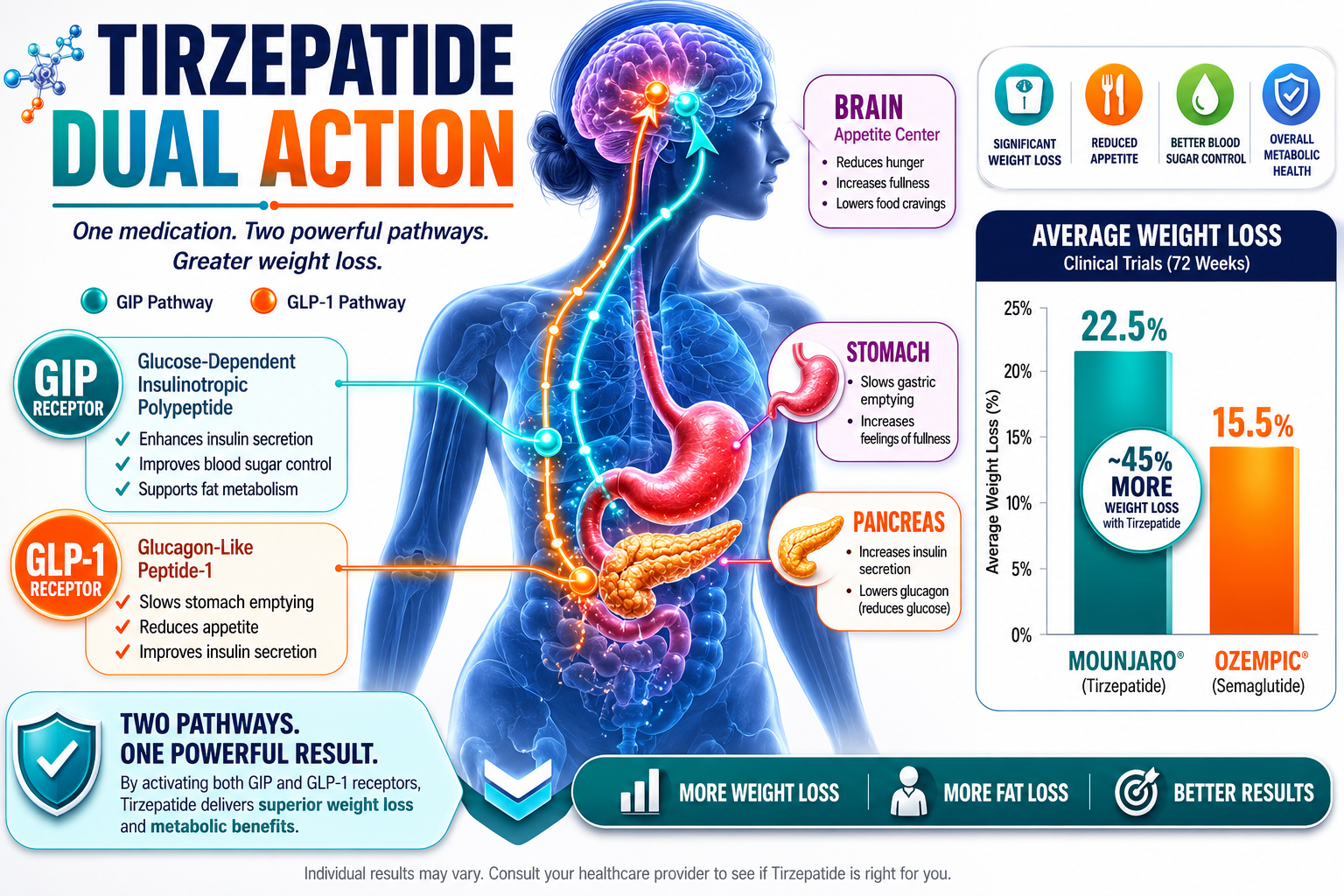 weight loss mounjaro 1 Detailed () infographic-style illustration showing a human body silhouette with GIP and GLP-1 receptor pathways highlighted