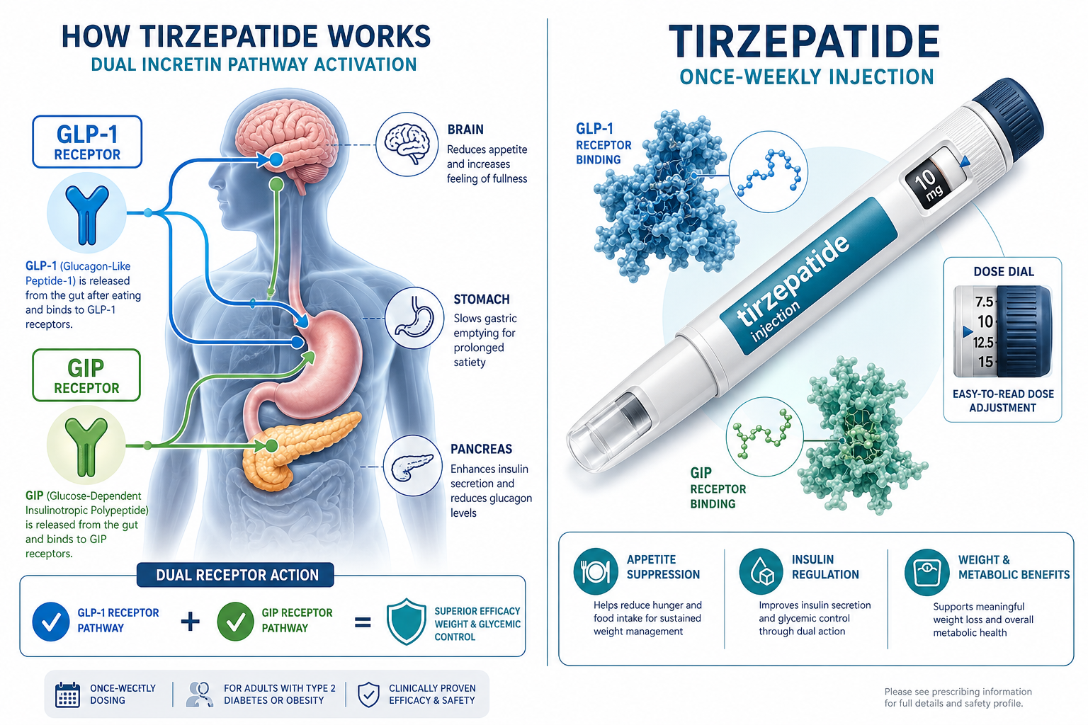 tirzepatide injection 1 Detailed () infographic-style illustration showing a split-screen comparison: left side displays a human silhouette with