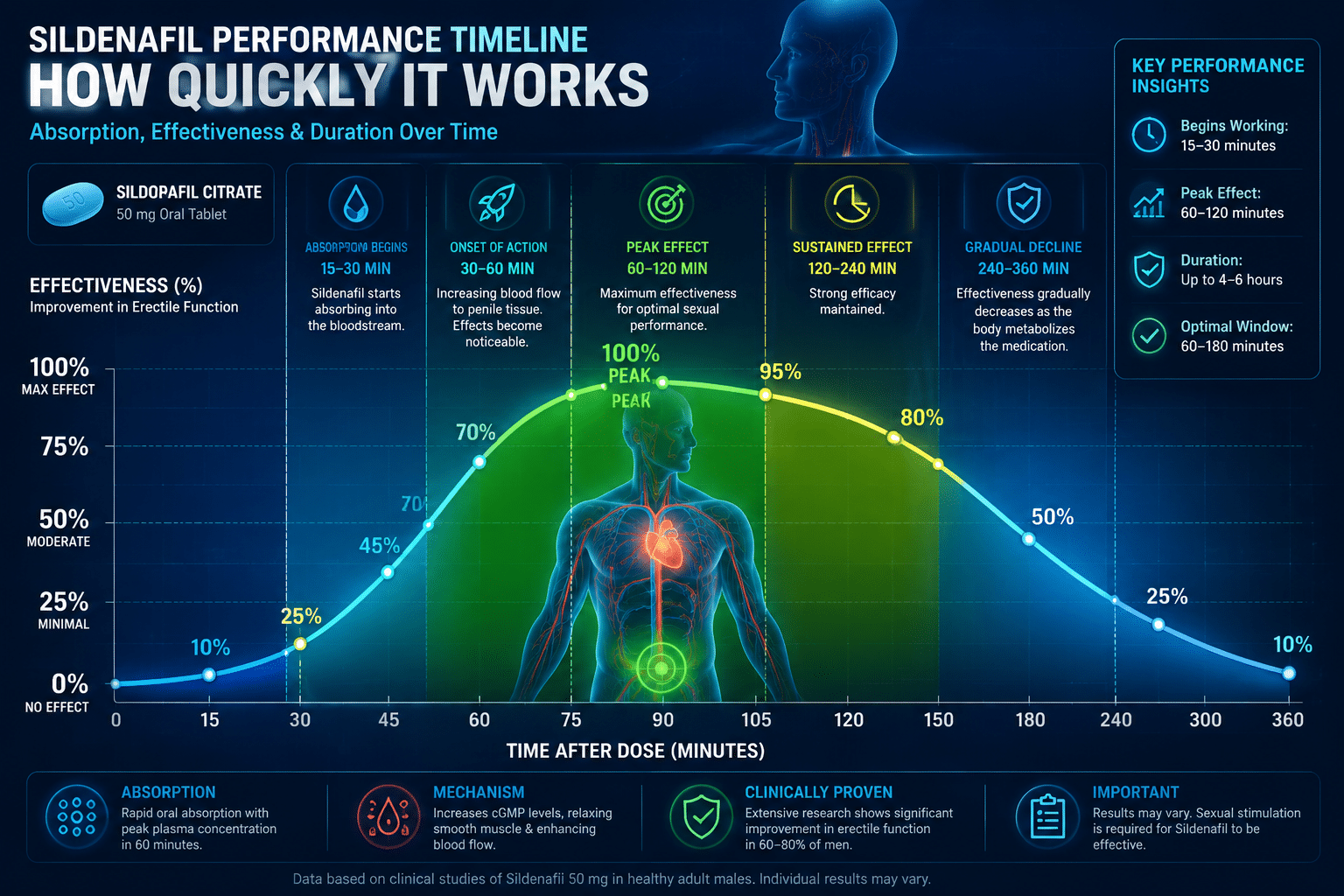 How Long Does Sildenafil Stay in Your System? Complete 2026 Guide 4 Dynamic pharmaceutical performance graph for 'When Does Sildenafil Start Working' section, showing medication effectiveness