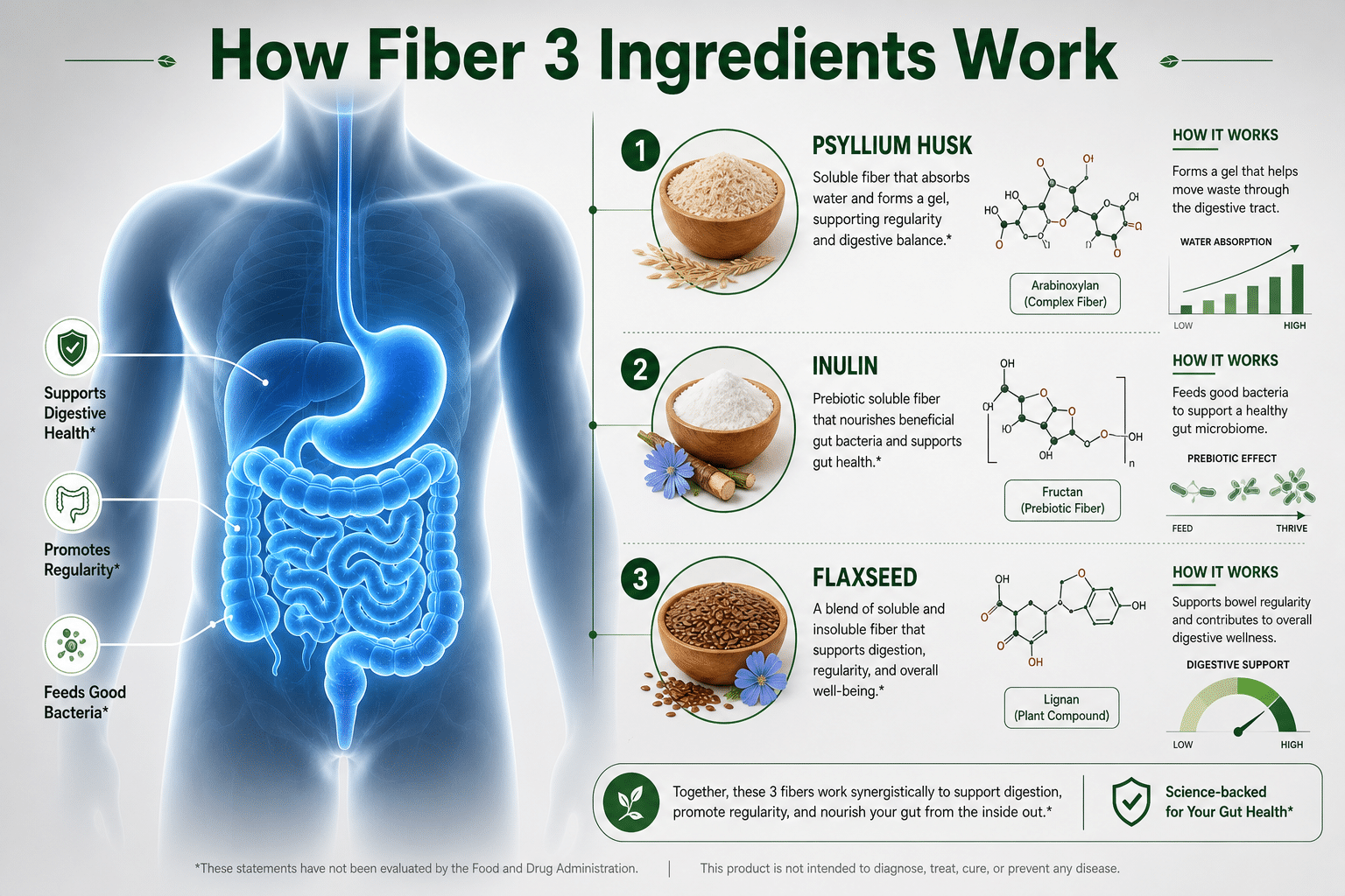 Native Fiber Native Path Fiber 3 Bundle Review 2026: Real Results Tested