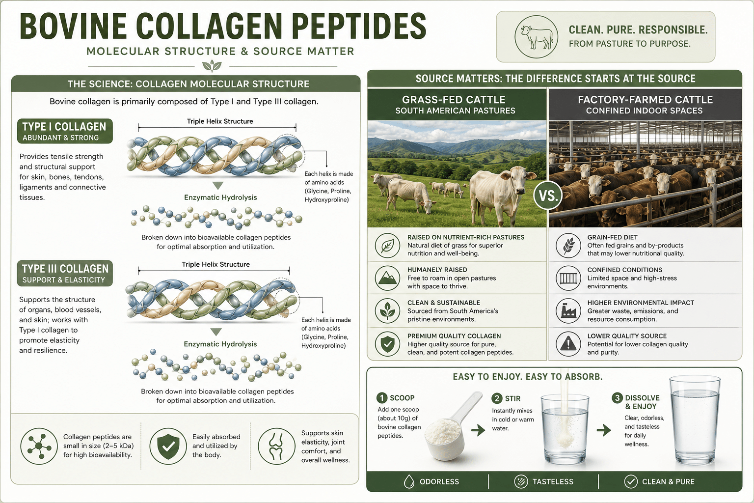 Native Path Collagen Review 2026: Does It Really Work?