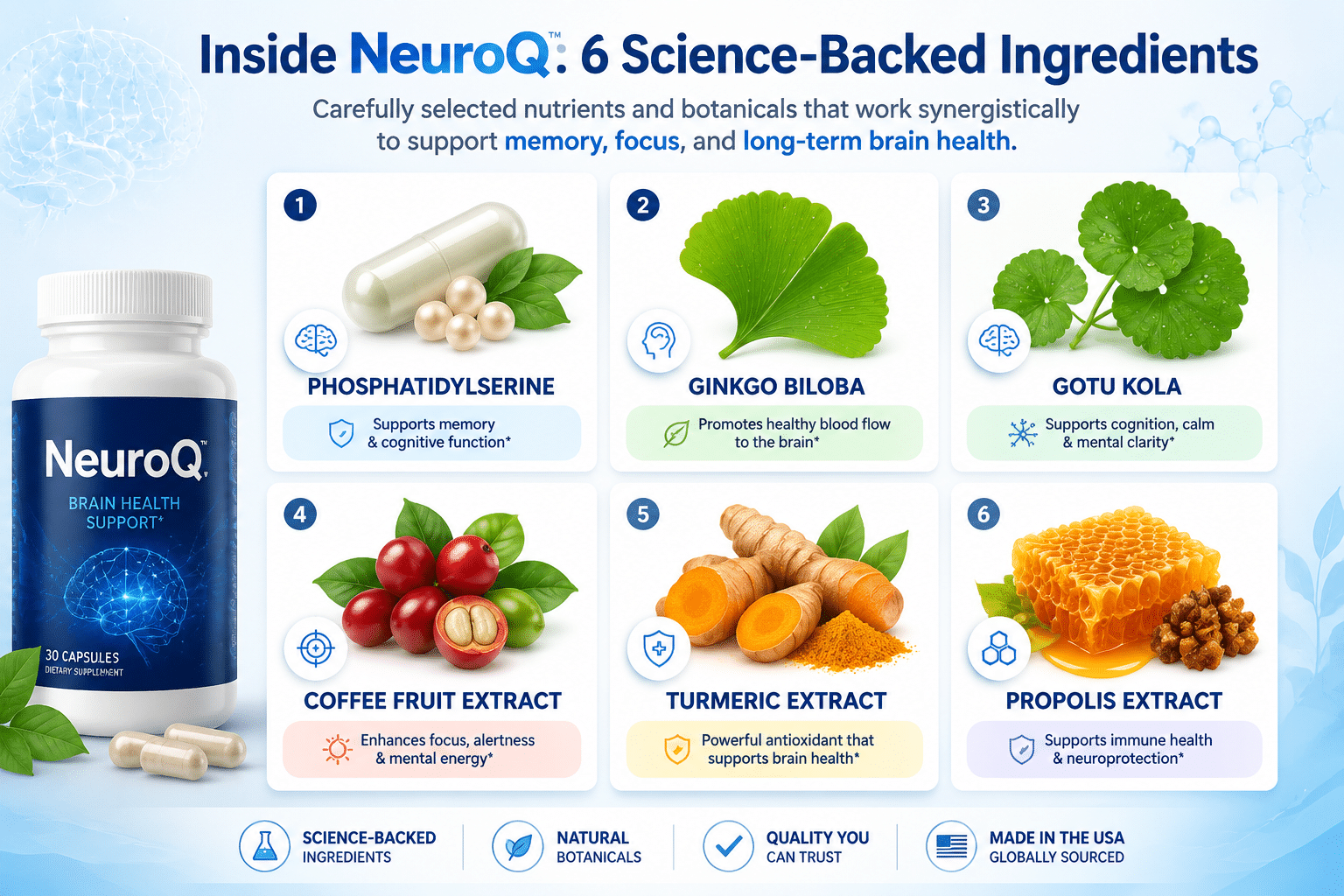Ingredients in Neuroq 2 Key Takeaways