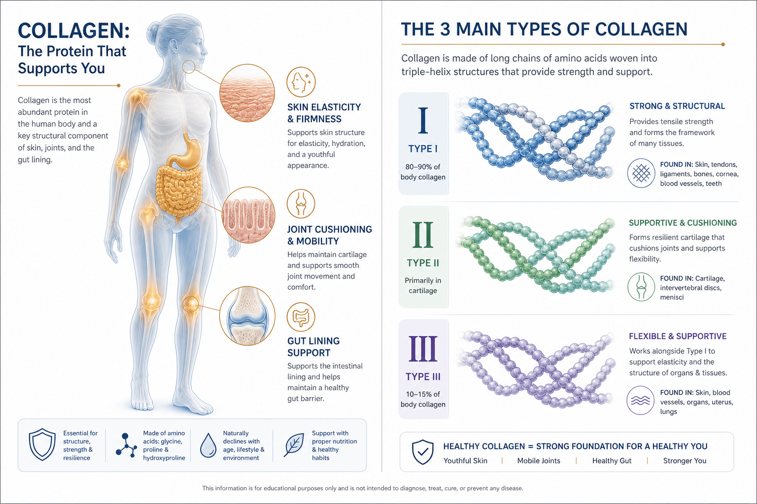 Native Path Collagen Review: An Honest 2026 Breakdown