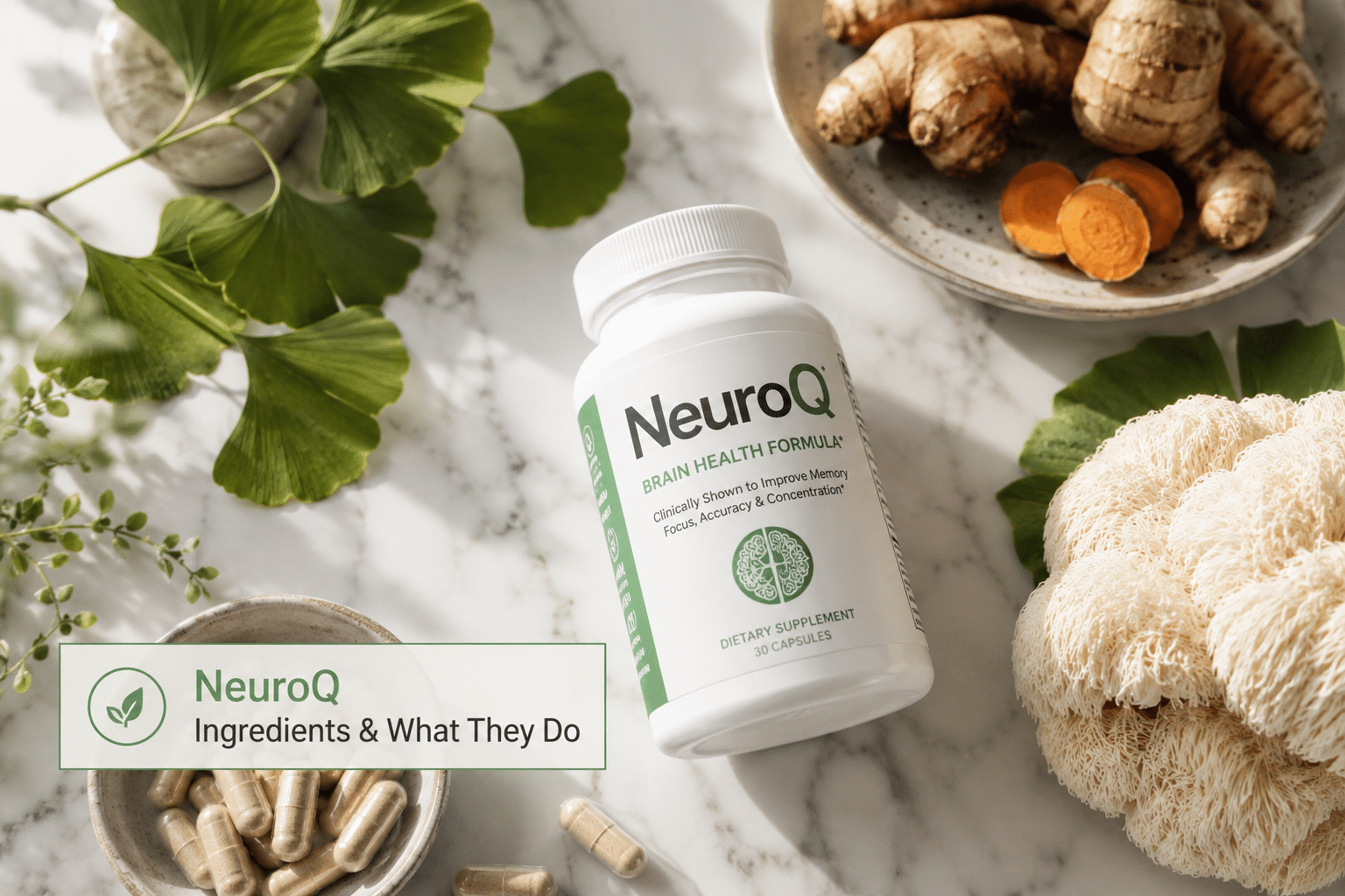 neuroq price 2 What Is NeuroQ?