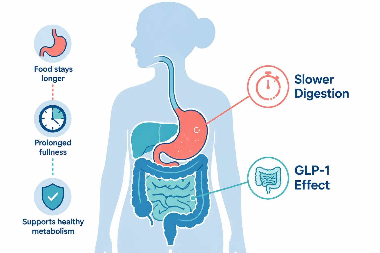 GLP-1 Nausea Relief Foods: What to Eat When You Feel Sick (2026) 4 Foods to Avoid When Taking GLP-1 Medications