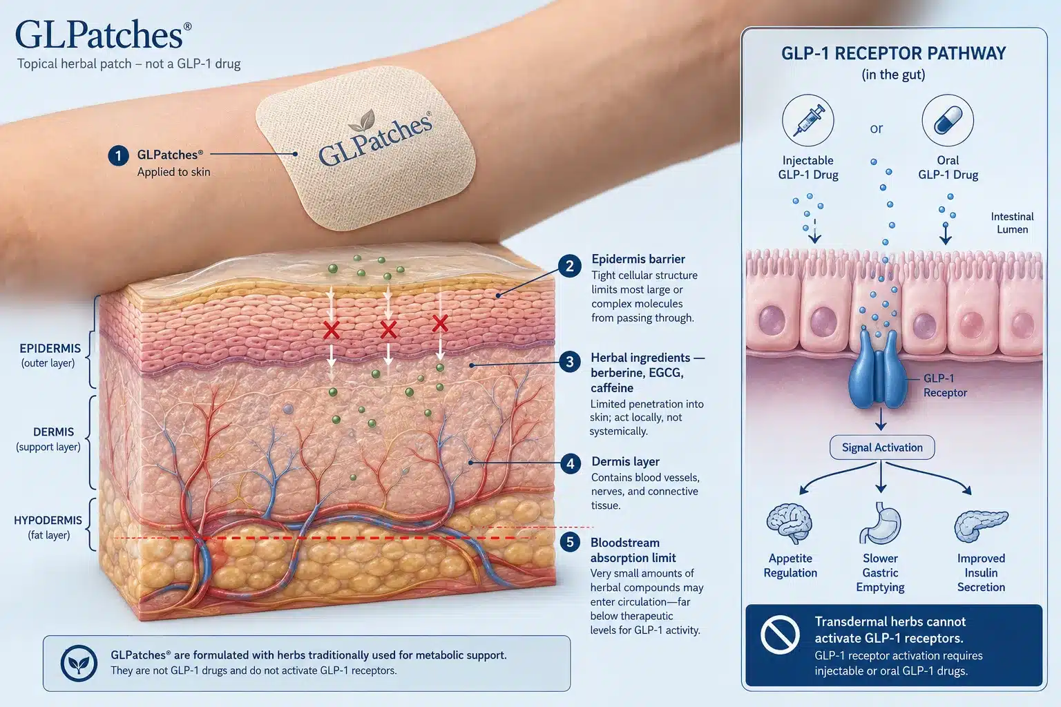 GLPatches 3 Are GLPatches Safe for Sensitive Skin