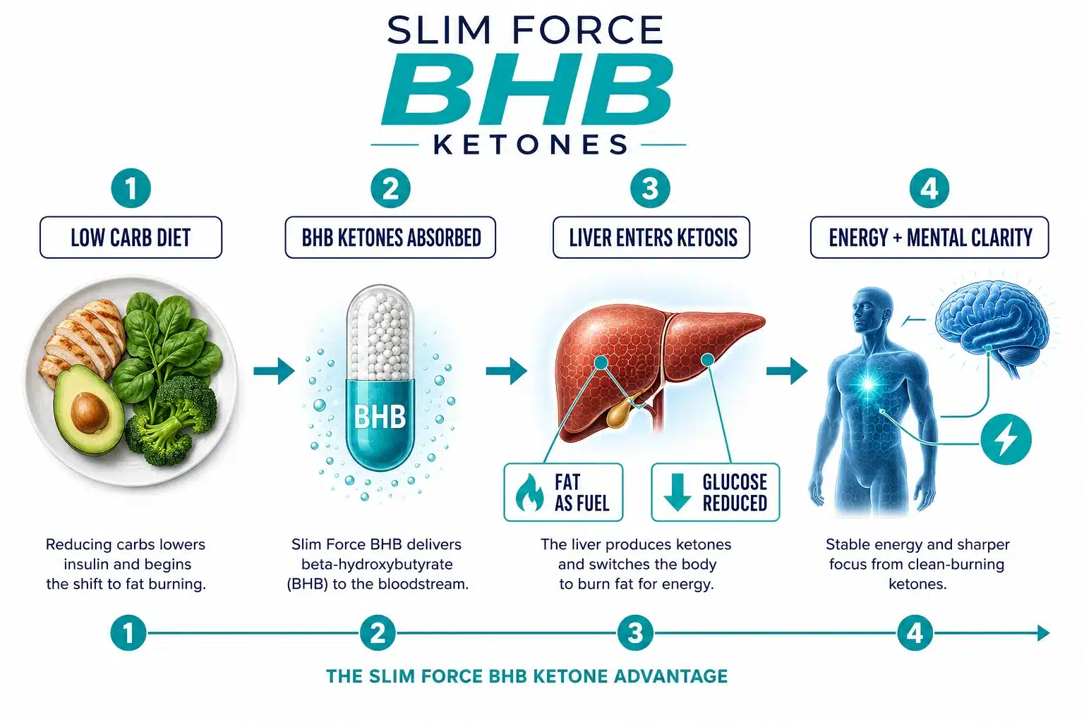 Slim Force 2 How Does Slim Force Work?