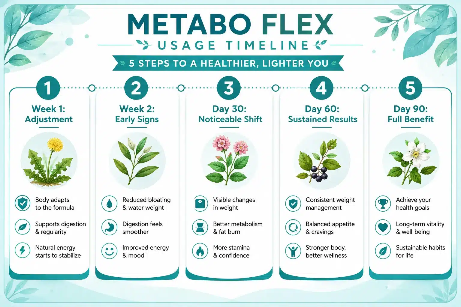Metabo Flex 4 How Long Does It Take for Metabo Flex to Work?