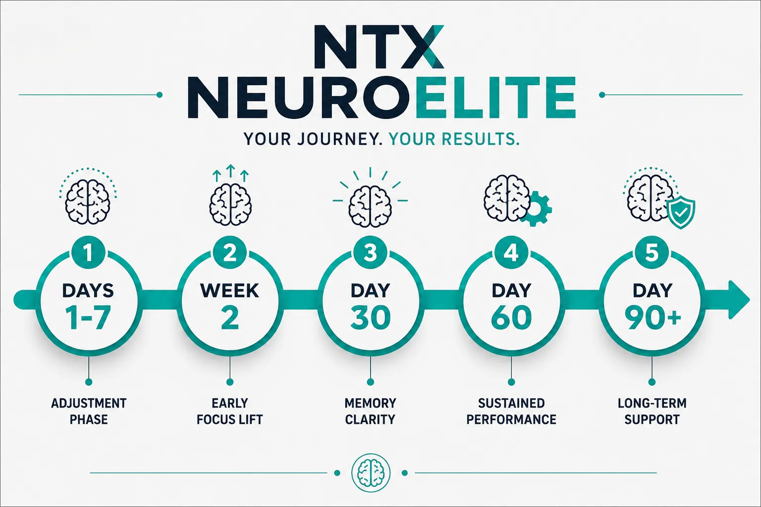 NTX NeuroElite 4 How Long Does It Take to Feel NTX NeuroElite Effects?