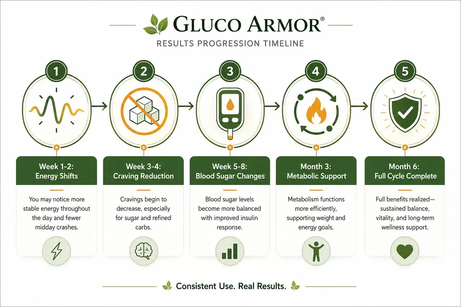 Gluco Armor 4 How Long Does It Take to See Results from Gluco Armor?