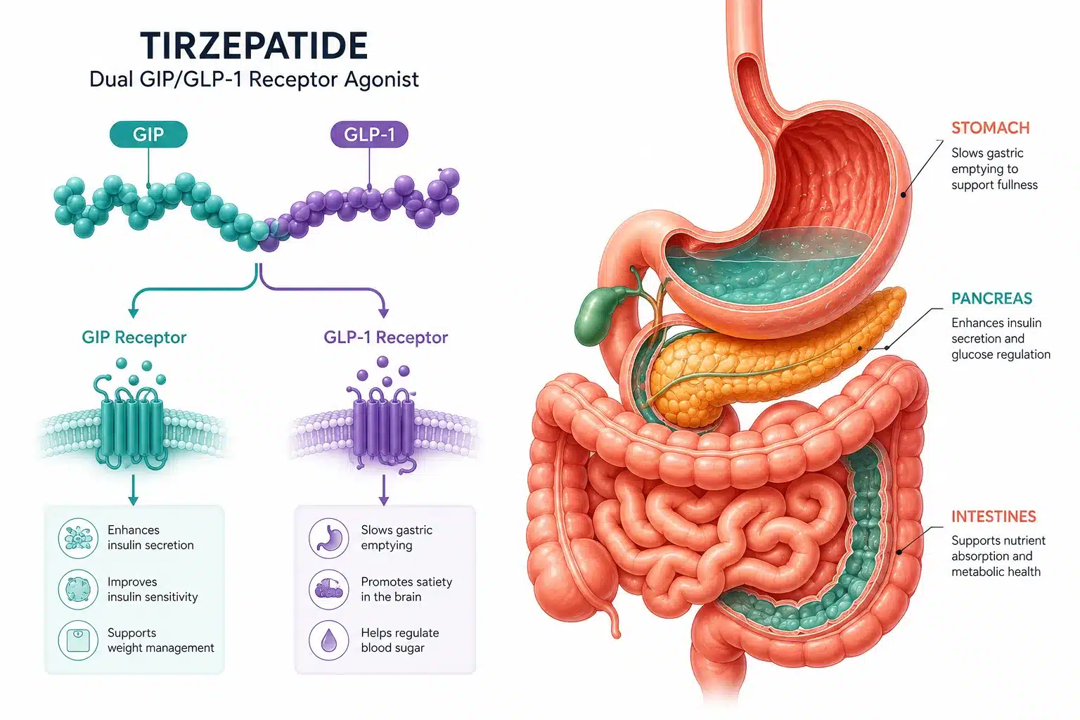 Compounded Tirzepatide Injections Rx 2 Key Takeaways