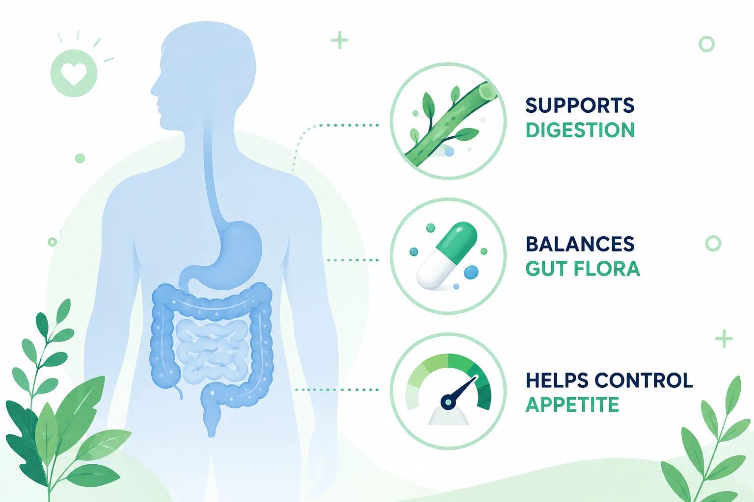 Slimtide Review 2026: Does This Weight Loss Supplement Really Work? 2 Key Takeaways