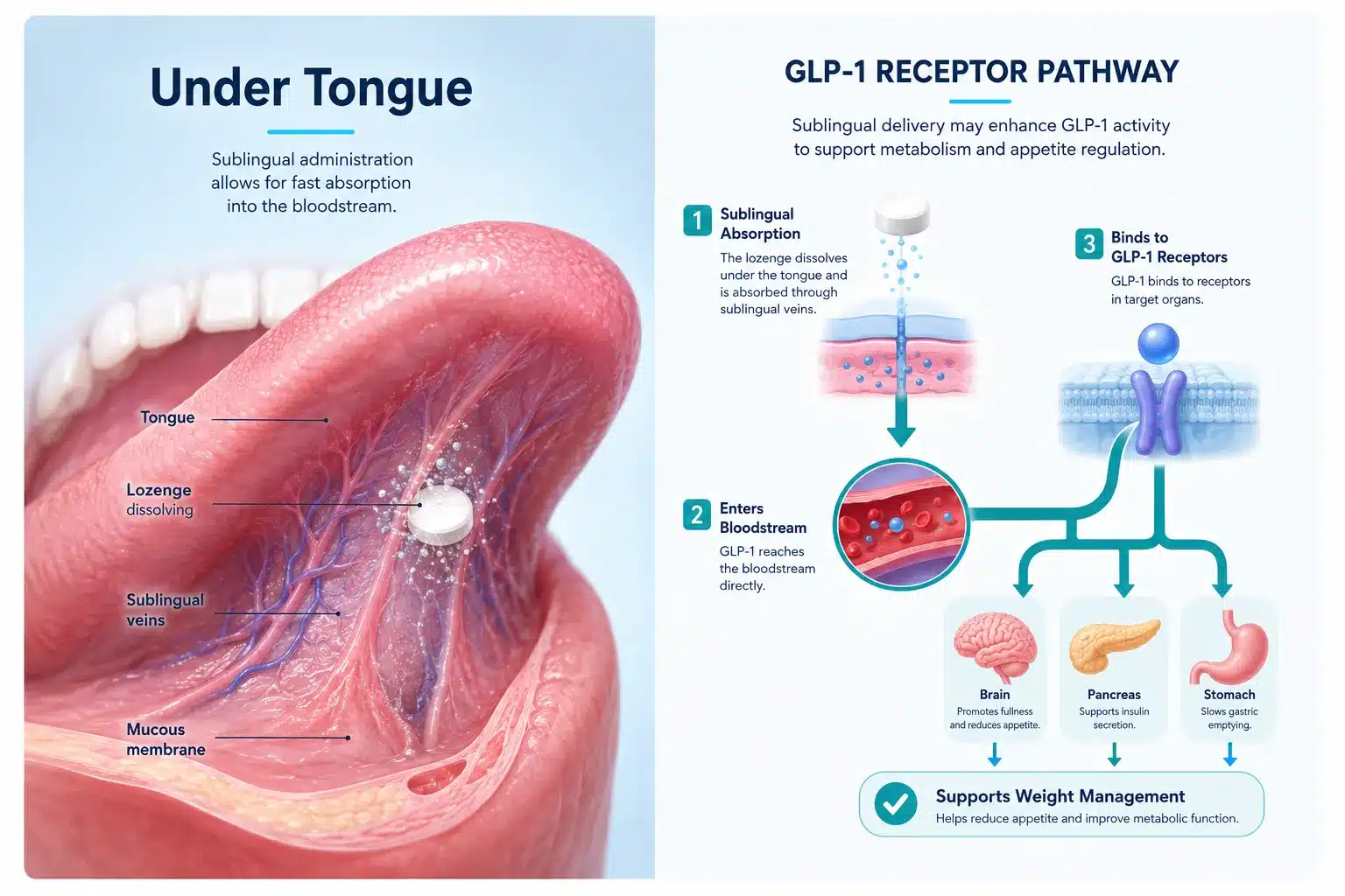 GLP-1 Lozenges Rx Sublingual lozenge, dissolves under the tongue 2 What Are GLP-1 Lozenges and How Do They Work