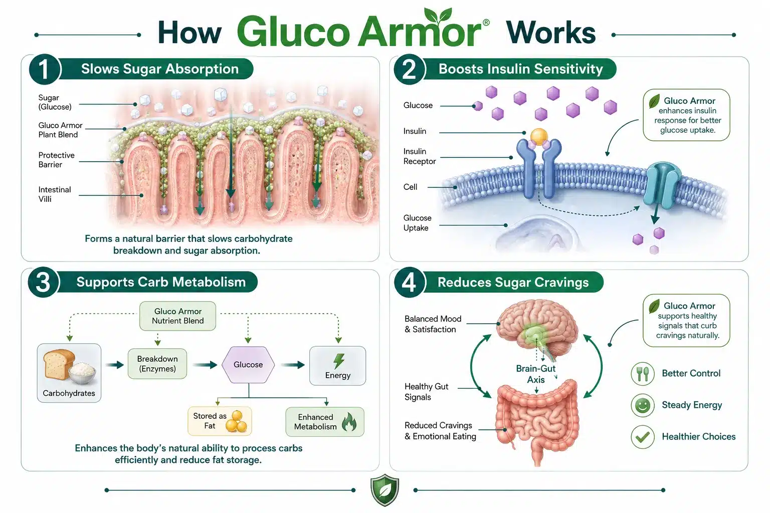 Gluco Armor 2 What Is Gluco Armor and How Does It Work?