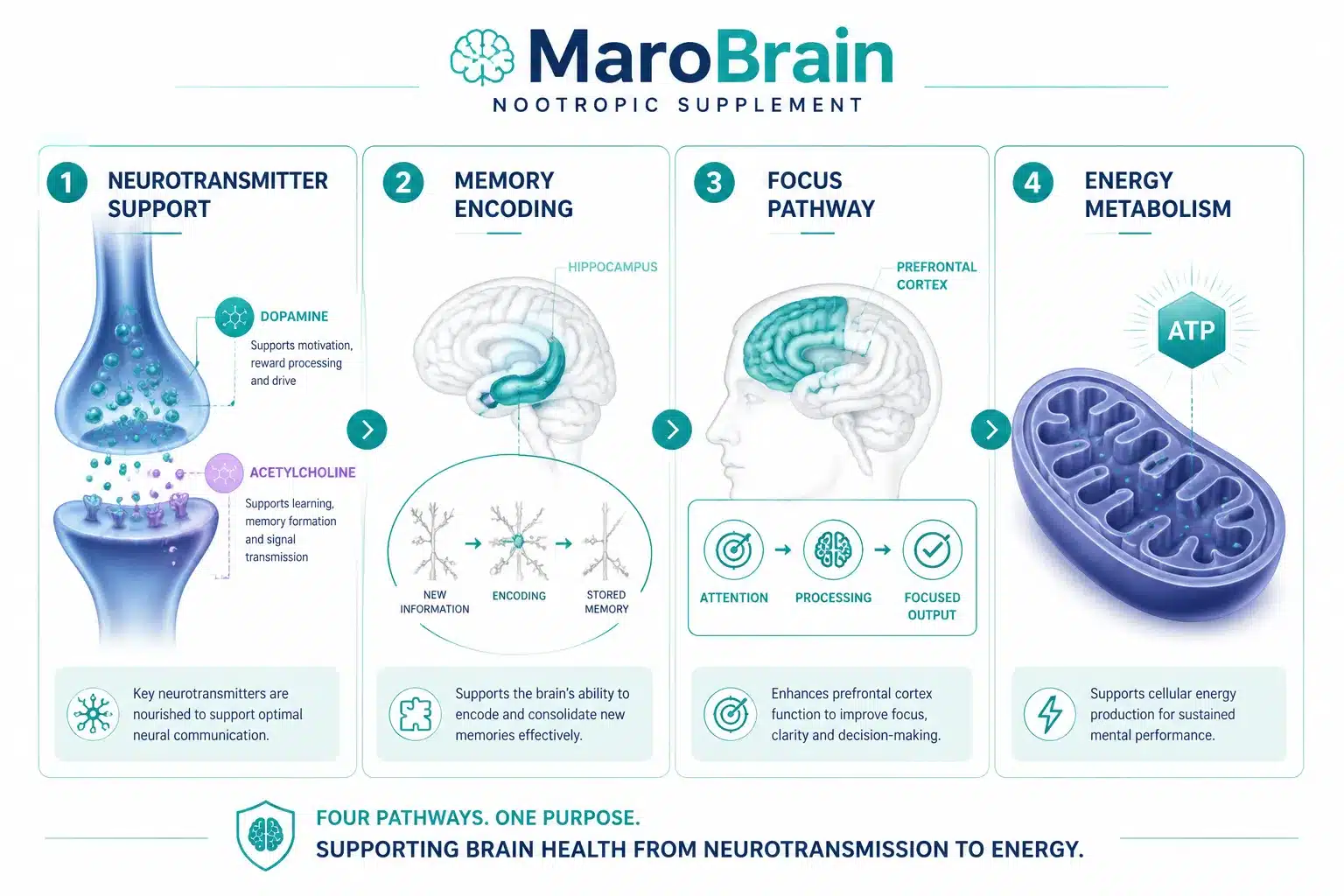 MaroBrain 2 What Is MaroBrain and How Does It Work?