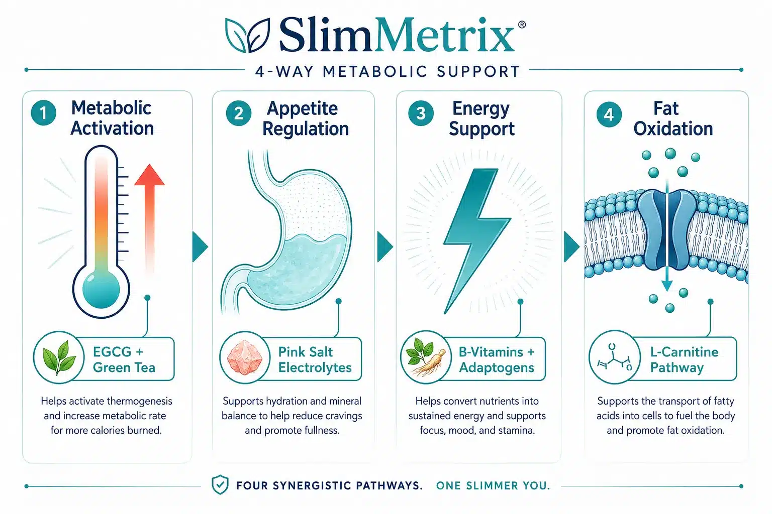 SlimMetrix 2 What Is SlimMetrix and How Does It Work?