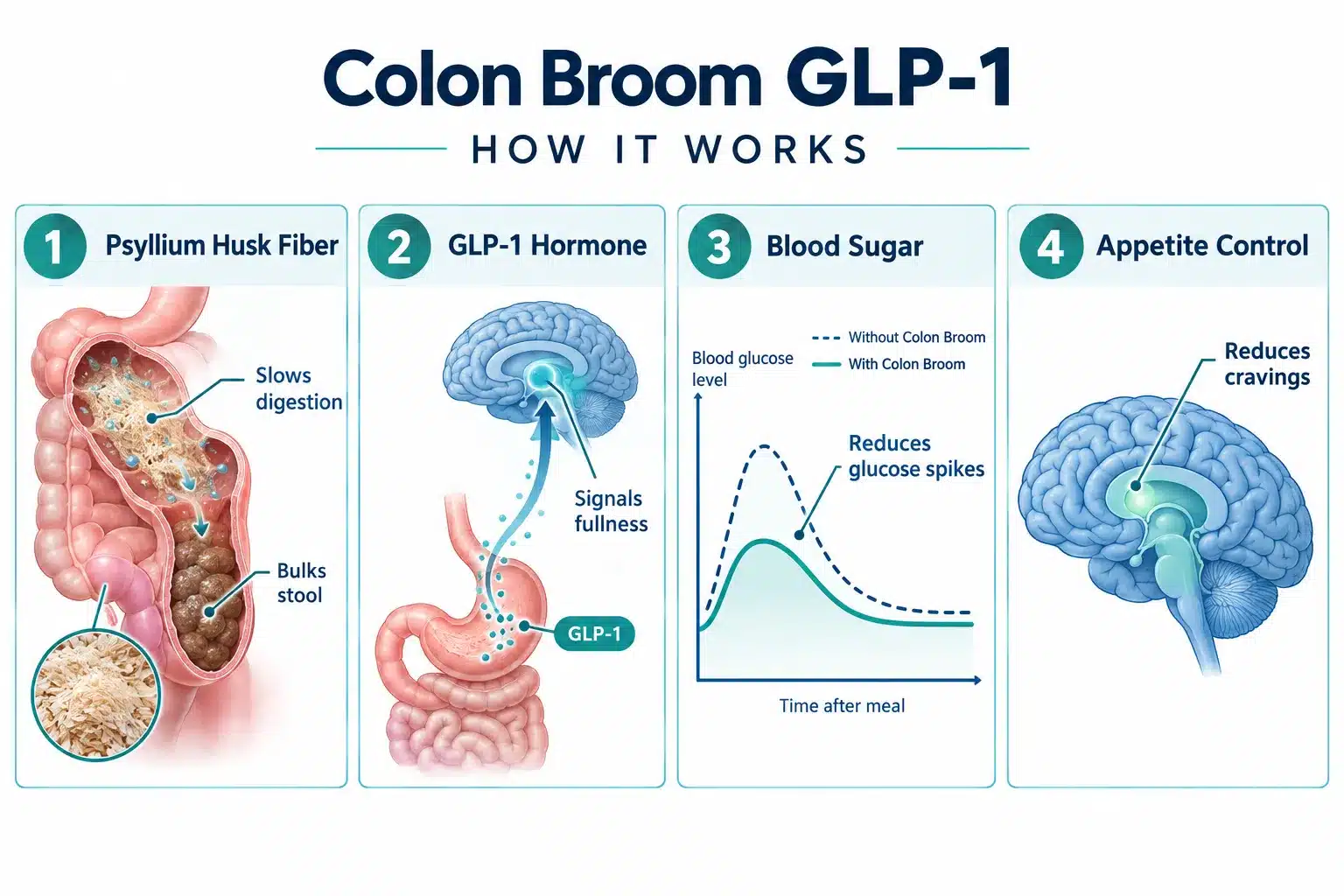 colon broom glp 1 reviews 2 How Does Colon Broom Work? Does It Work Like Ozempic?