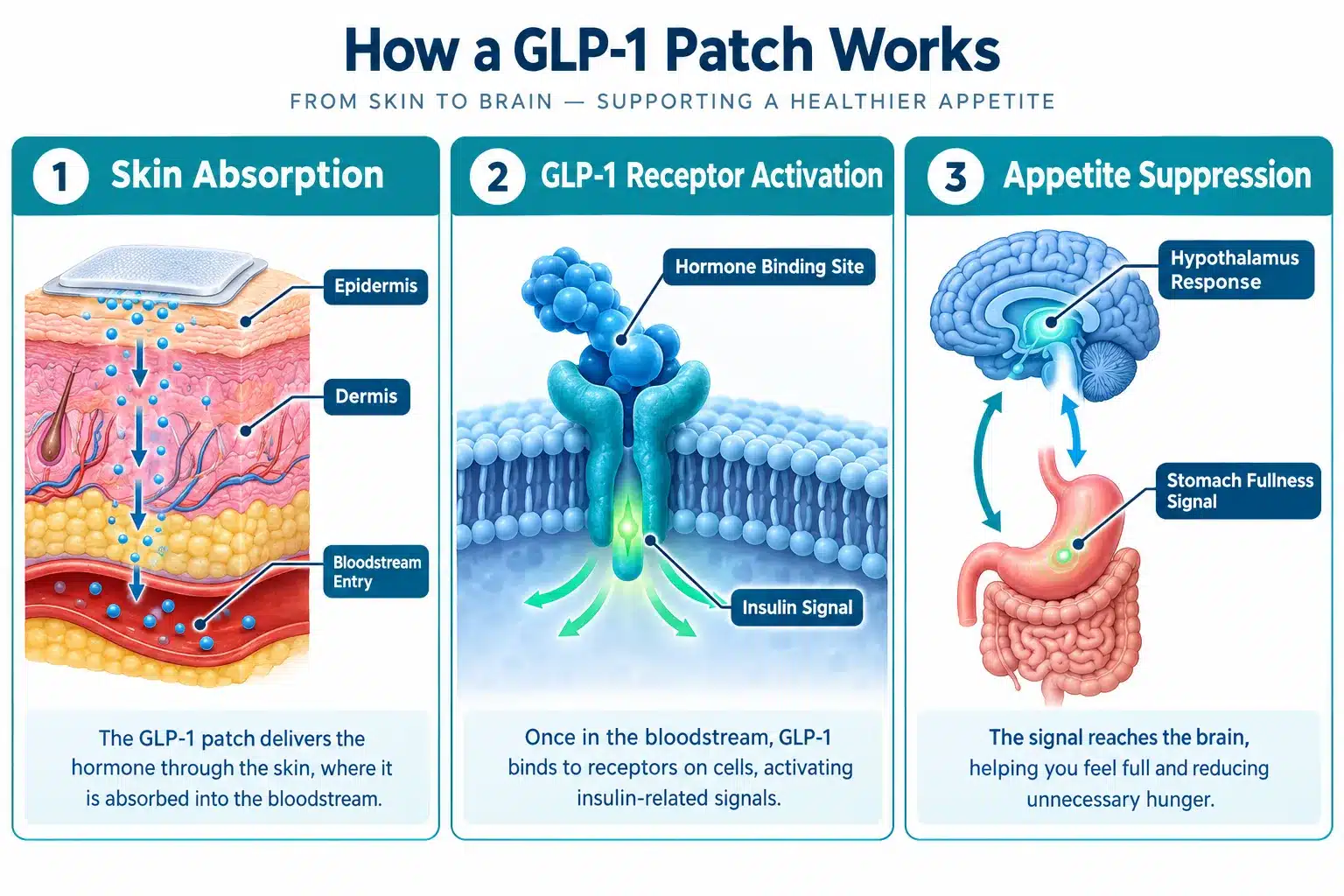 glp 1 patch reviews 2 What Is a GLP-1 Patch and How Does It Work?