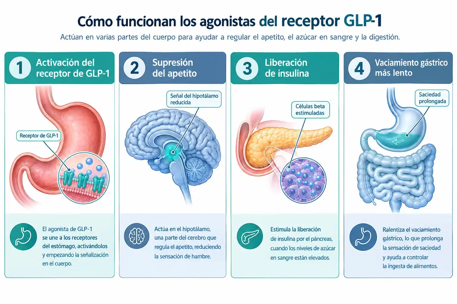 henry meds glp 1 reviews 2 What Is Henry Meds GLP-1?