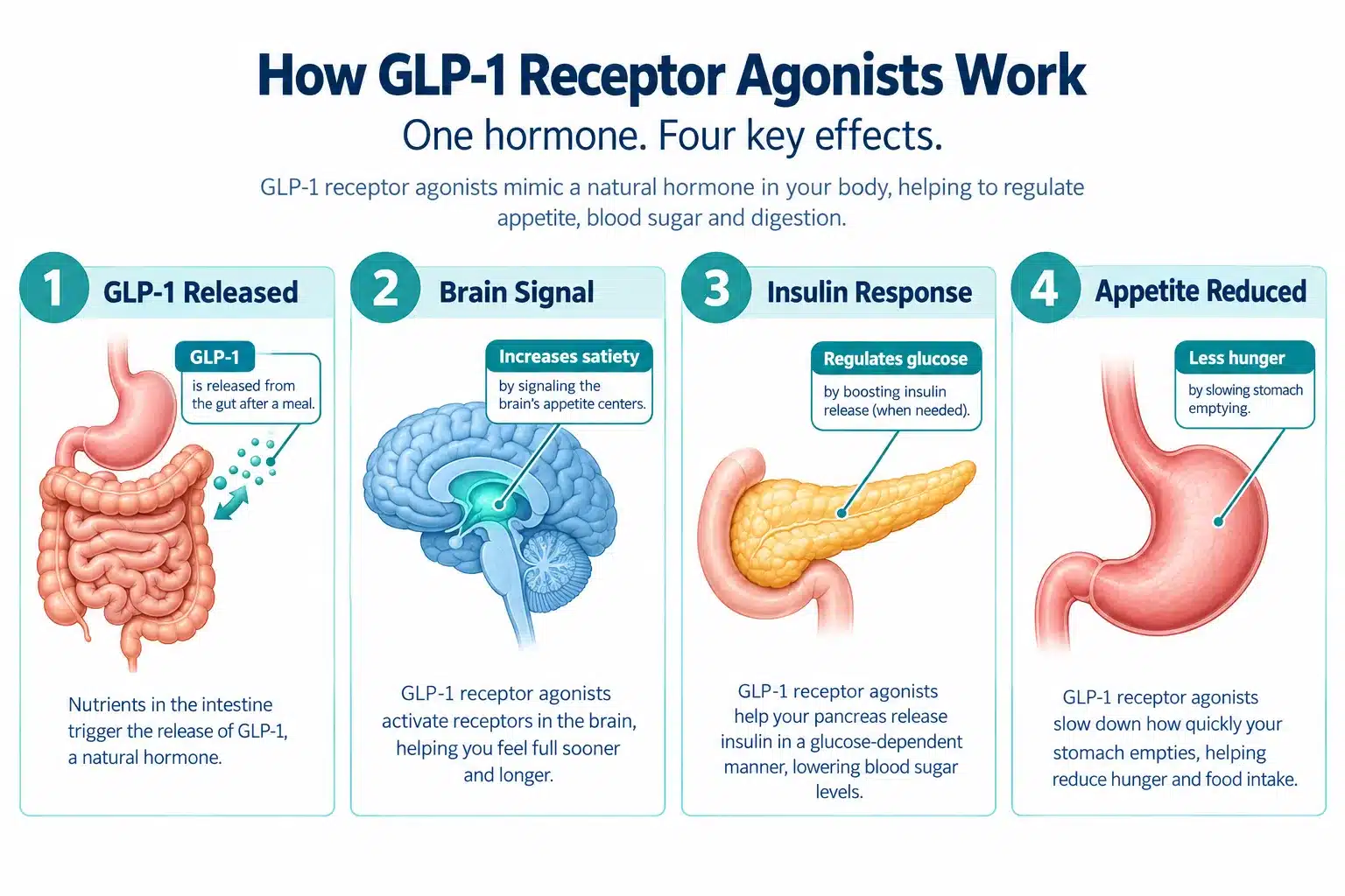lemme glp 1 reviews 2 What Is Lemme GLP-1 and How Does It Work
