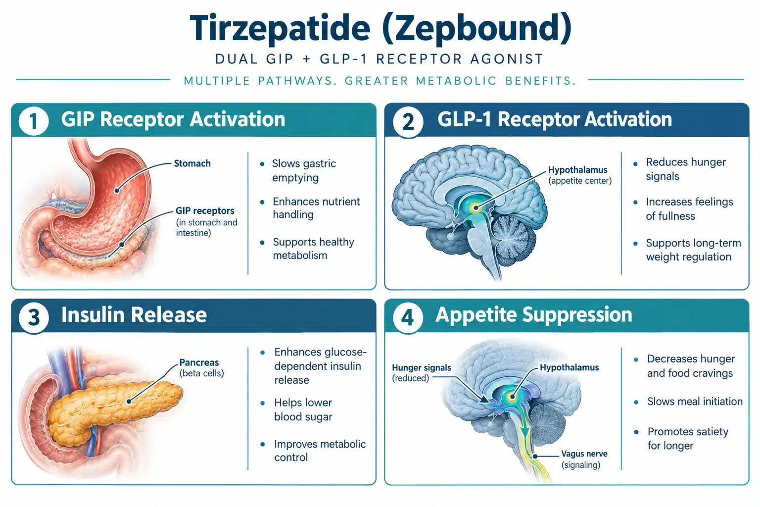 zepbound reviews 2 What Is Zepbound and How Does It Work?