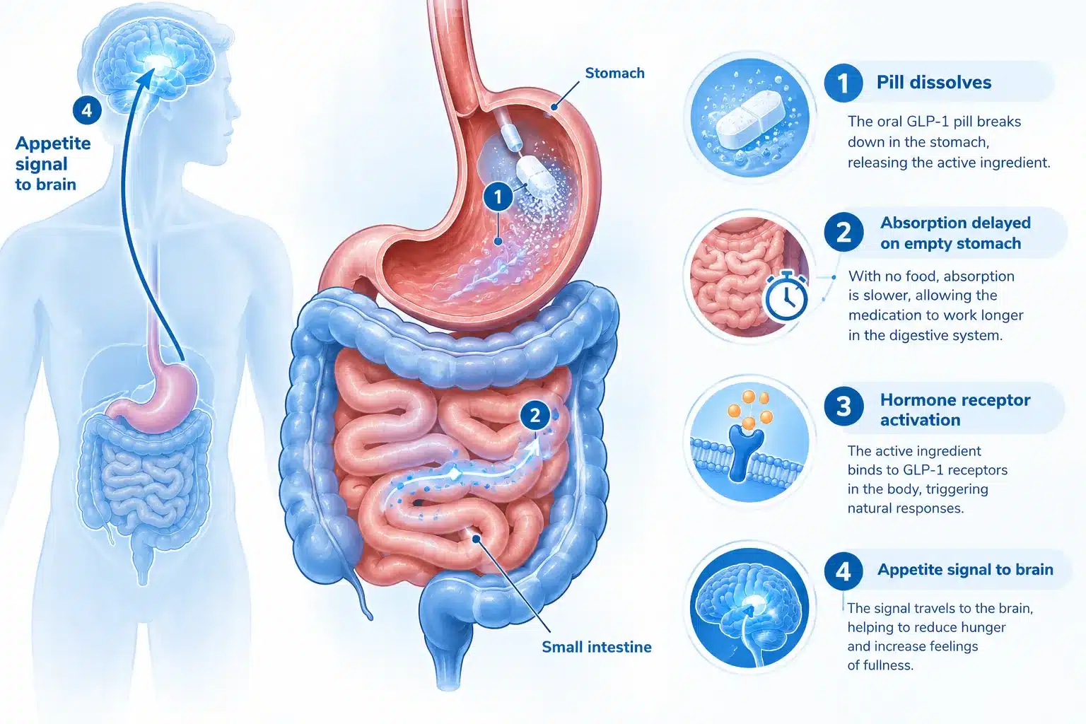 Does Mochi Offer GLP-1 Pills? Oral Options Explained 3 Are oral GLP-1 pills as effective as injections