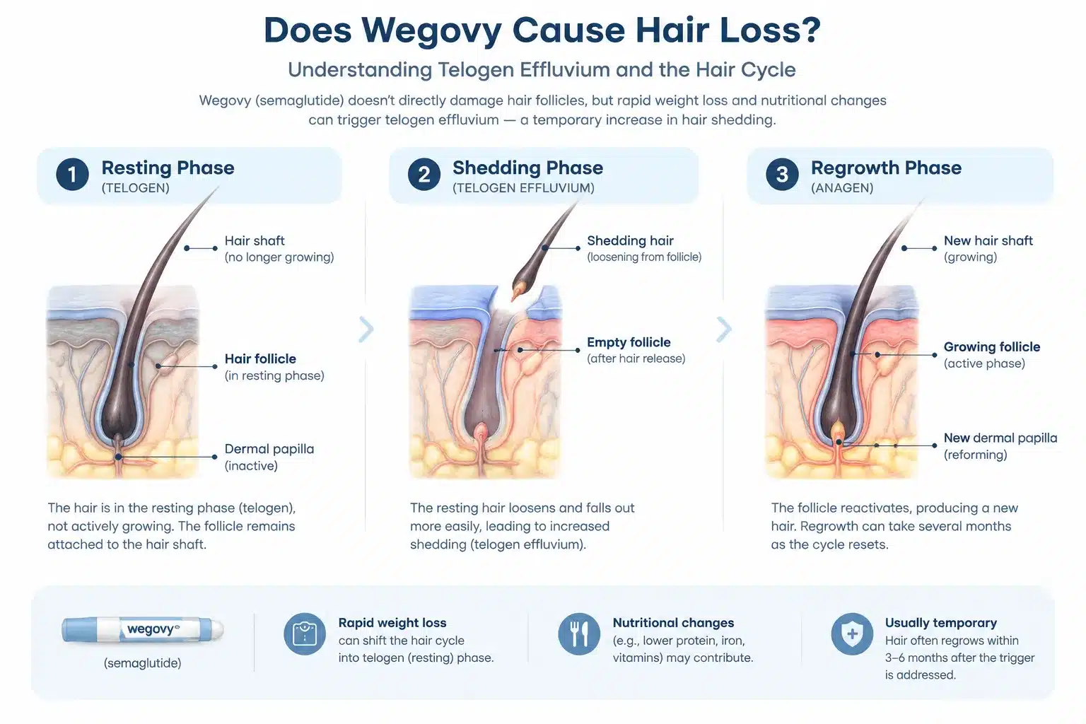 Does Wegovy Cause Hair Loss? What to Know 3 Can you prevent hair loss while on Wegovy