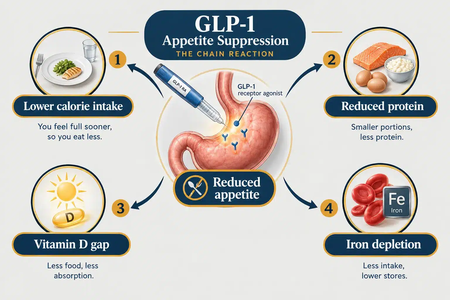 best vitamins to take while on glp 1 3 Can You Take a Multivitamin While on GLP-1 Medications