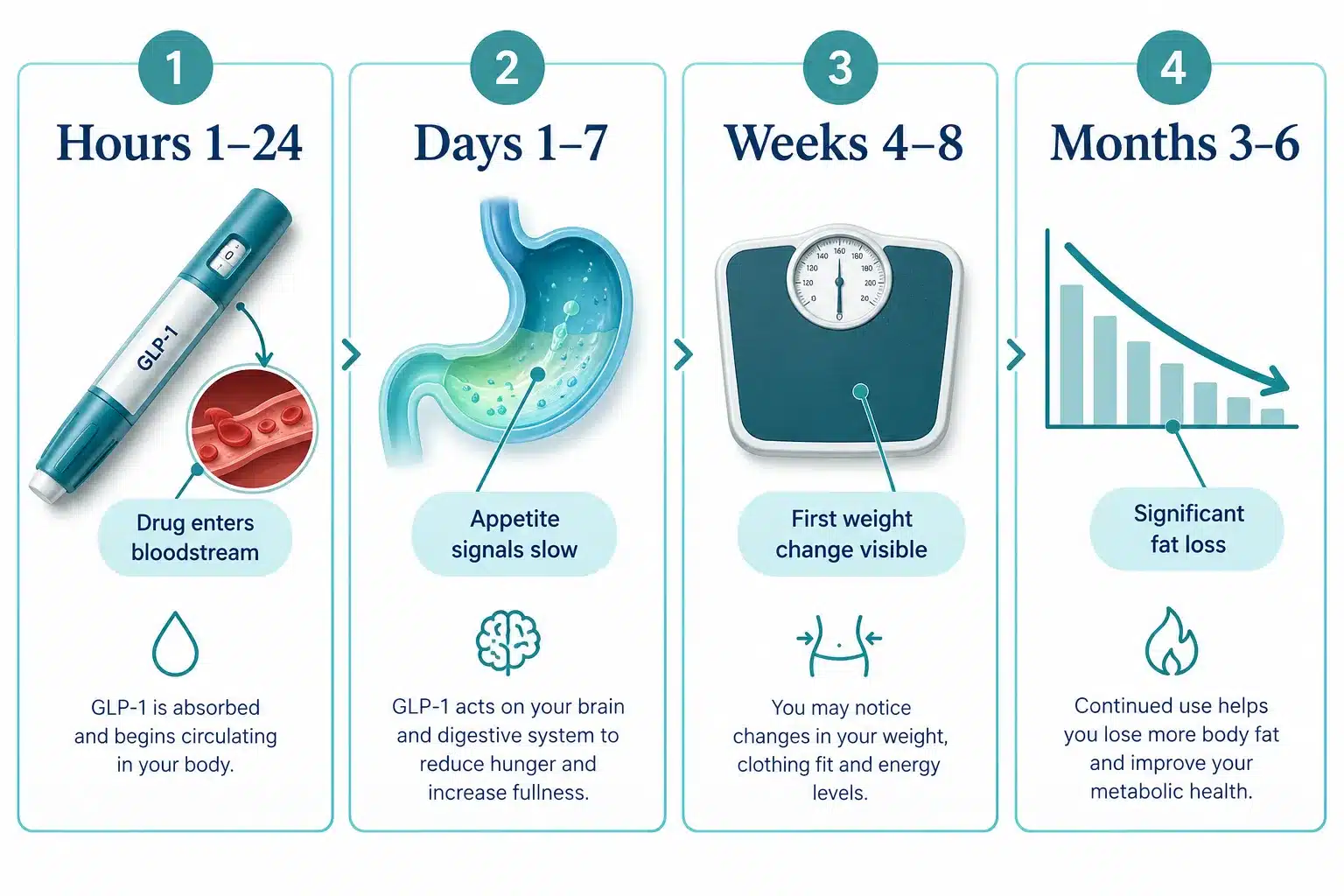 how long does it take for glp 1 to work 2 Does GLP-1 Work Immediately or Does It Take Time?