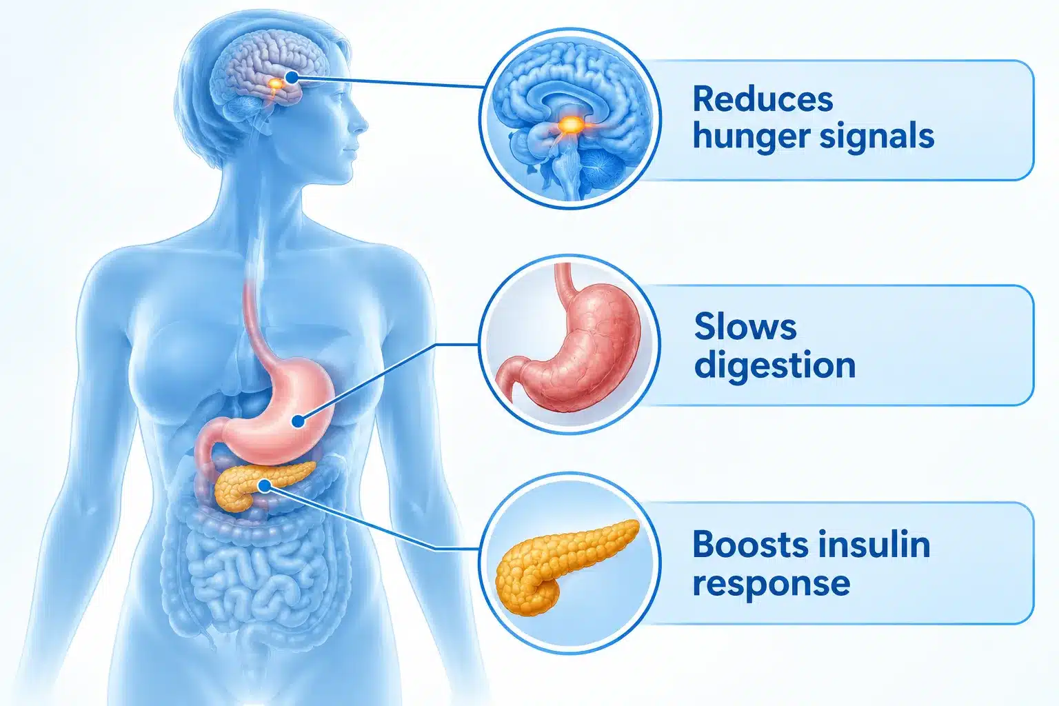 Semaglutide injection: Options, Costs, Benefits & Safety Considerations 3 Does insurance cover semaglutide for weight loss