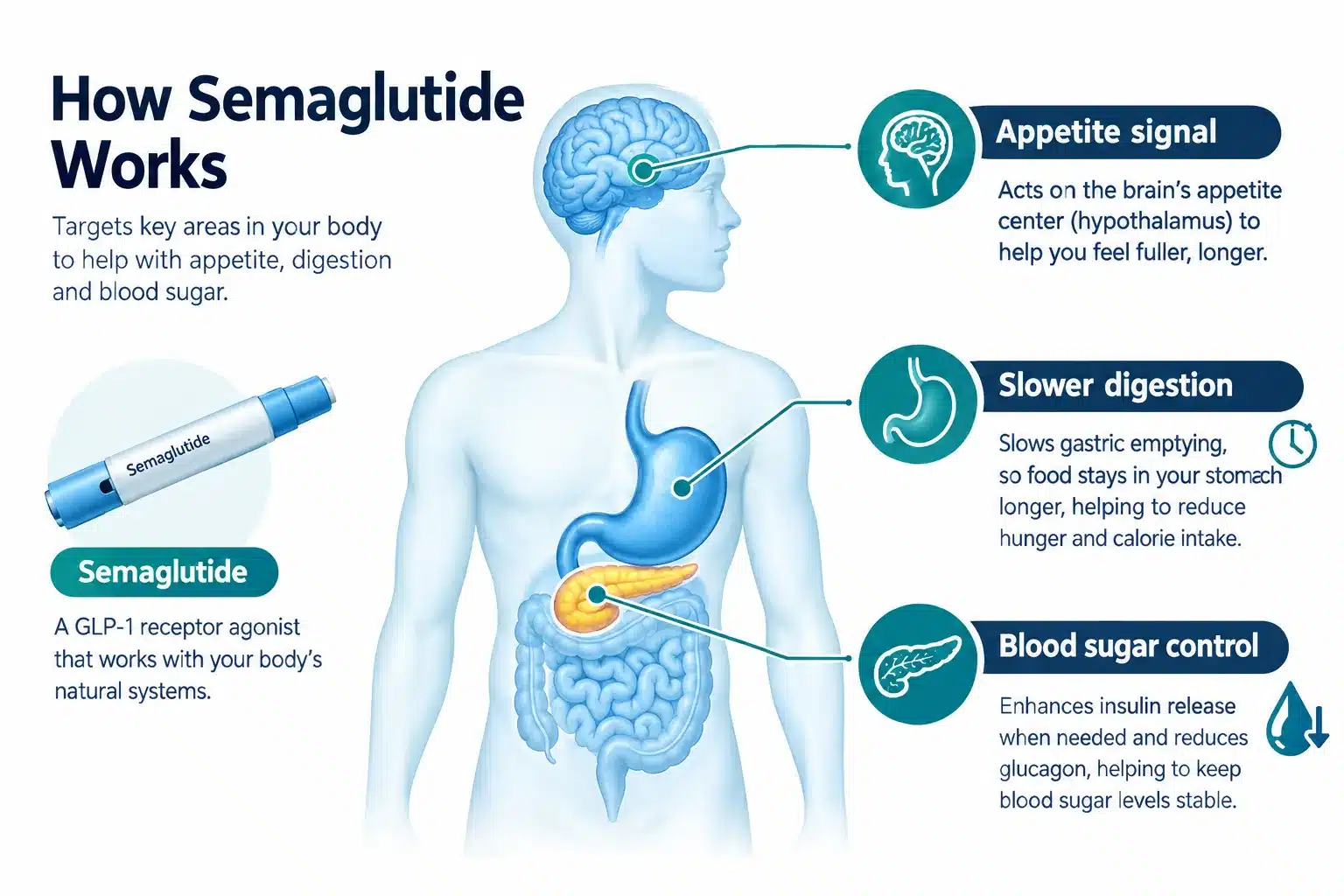 Semaglutide weight loss: Options, Effectiveness, Costs & Safety Considerations 2 How Does Semaglutide Work for Weight Loss