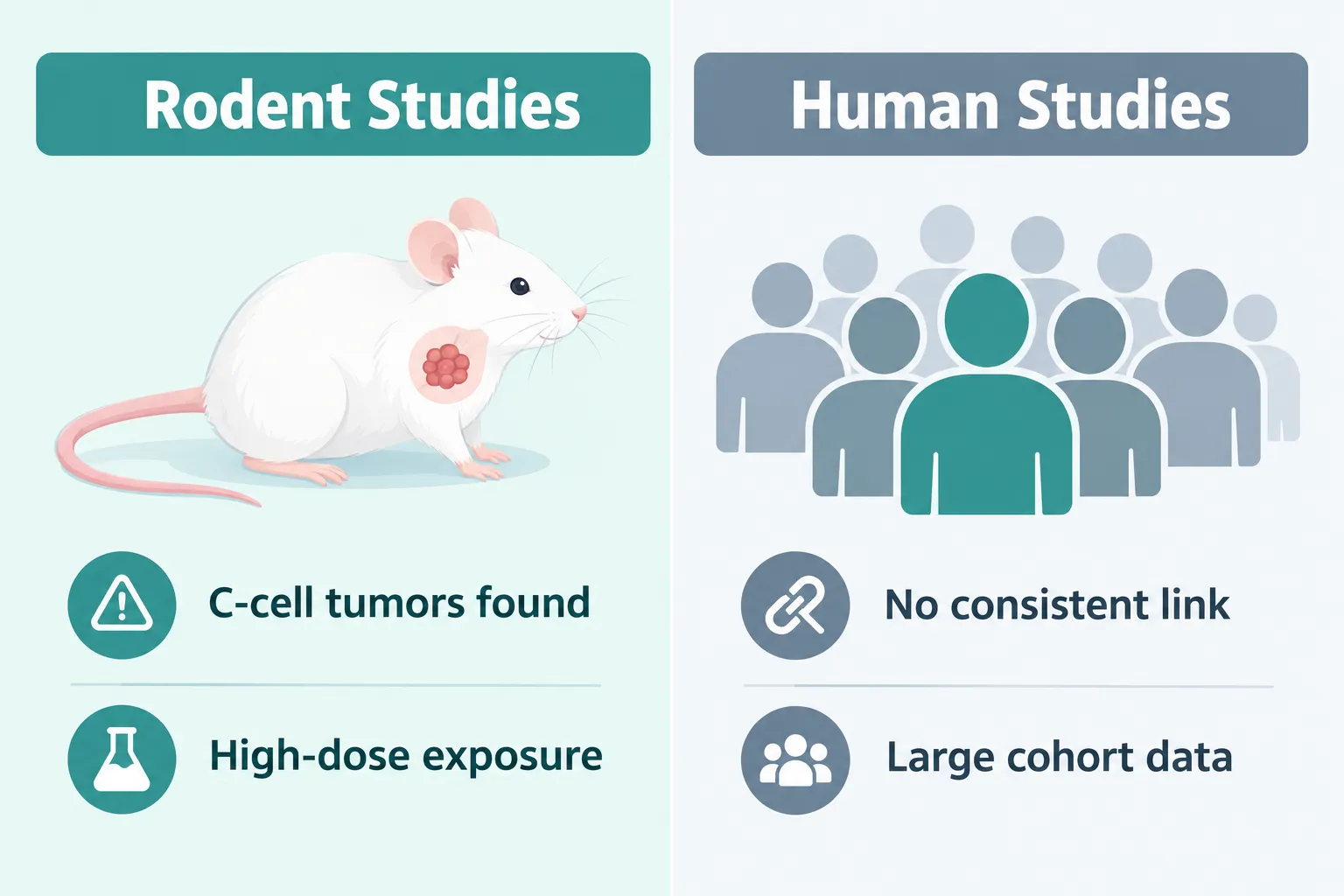 Does Ozempic Cause Cancer? Thyroid Risk & the Evidence 4 Is Ozempic Safe for Weight Loss, or Is the Cancer Risk Too High?