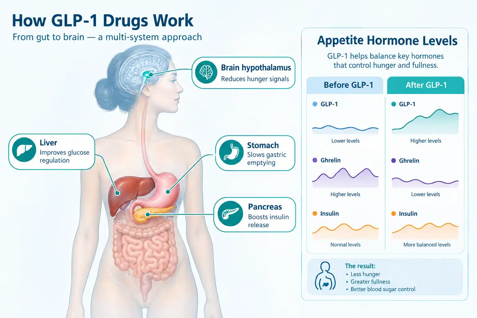 RX weight loss medication best meds for weight loss 3 Is Tirzepatide or Semaglutide Better for Weight Loss?