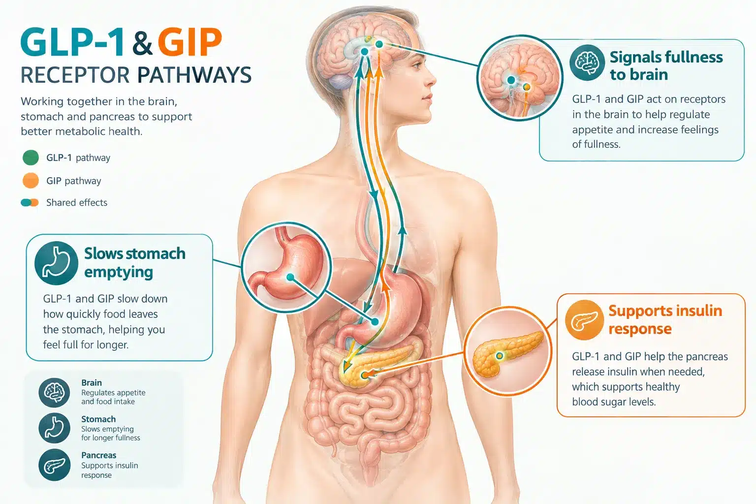 tirzepatide 5mg 3 Tirzepatide 5mg Cost and Pricing