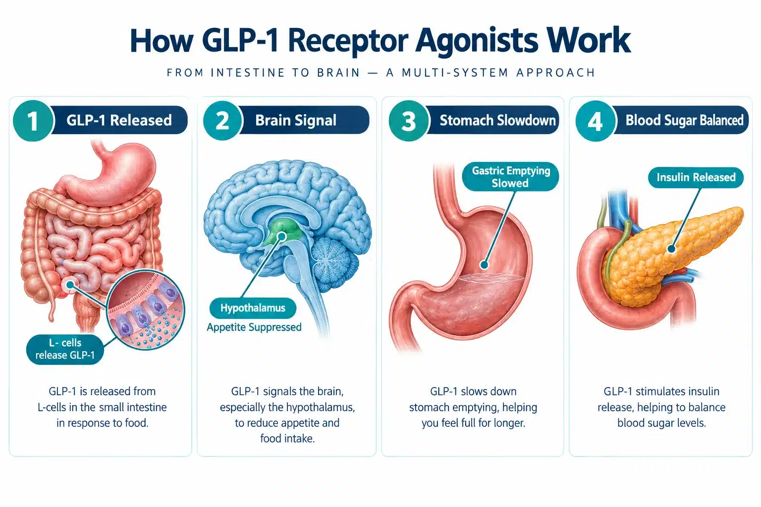 glp 1 weight loss injections online 2 What Are GLP-1 Injections and How Do They Work for Weight Loss