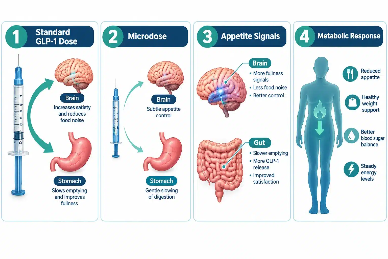 what is microdosing glp 1 2 What Does Microdosing GLP-1 Mean