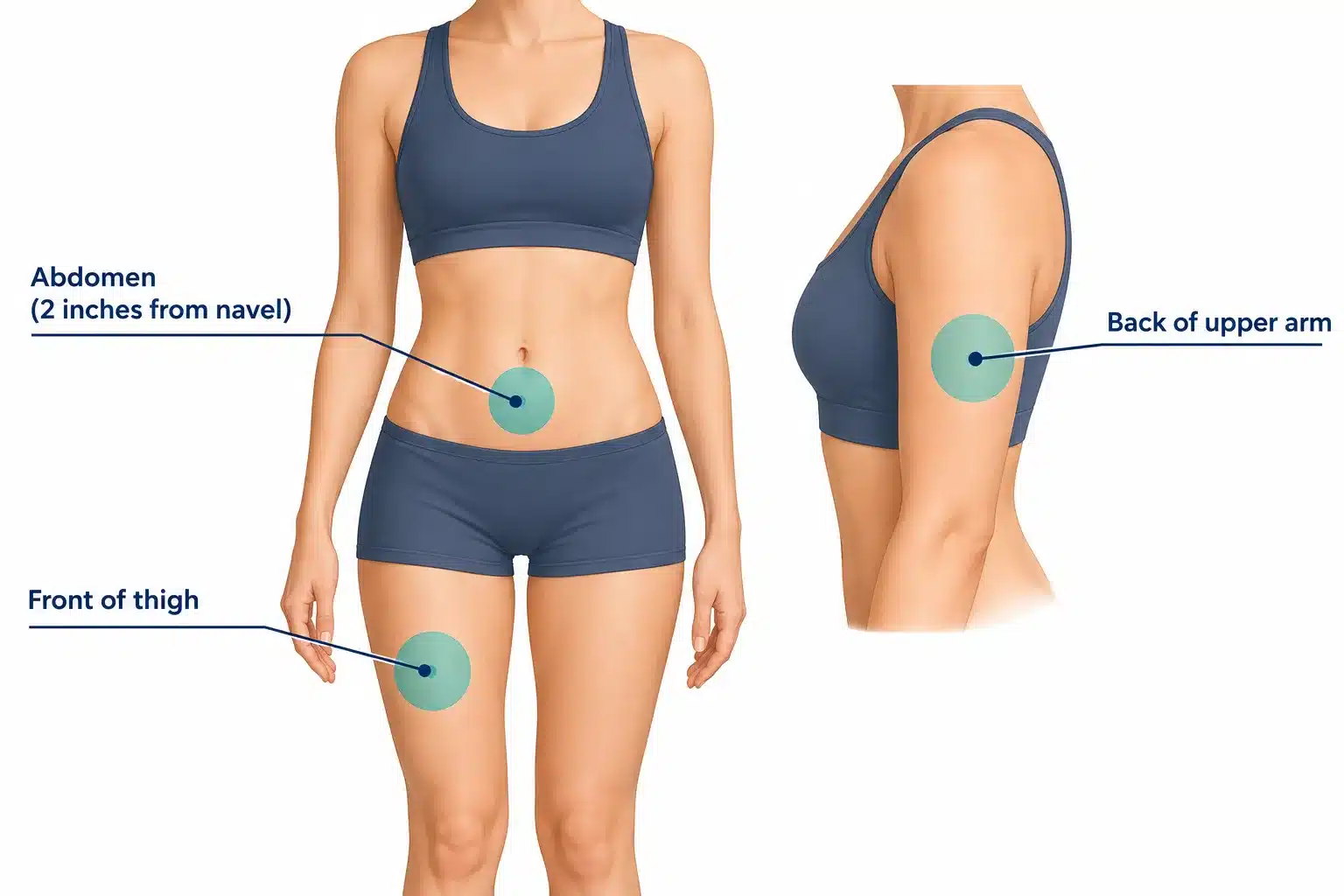How to Use the Wegovy Pen: Injection Sites & Step-by-Step Guide 2 What Does Wegovy Actually Do in Your Body