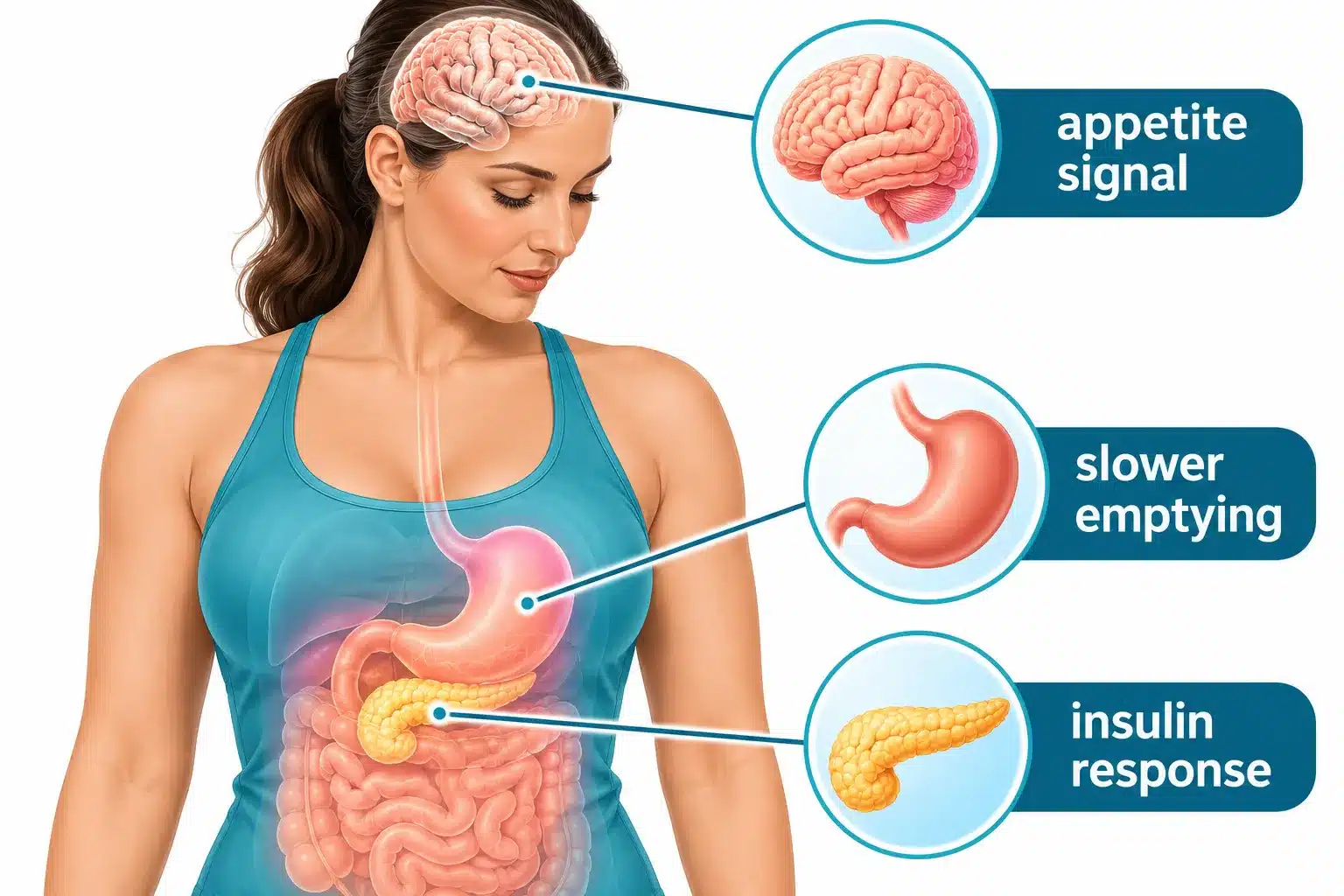 What Is Wegovy? Uses, How It Works & Who Qualifies 2 What Exactly Is Wegovy and How Does It Work in Your Body
