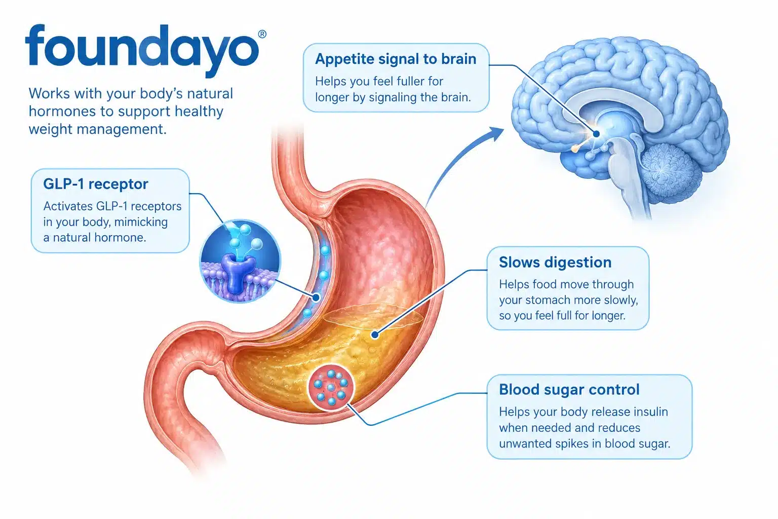 what is foundayo 2 What is foundayo and how does it work