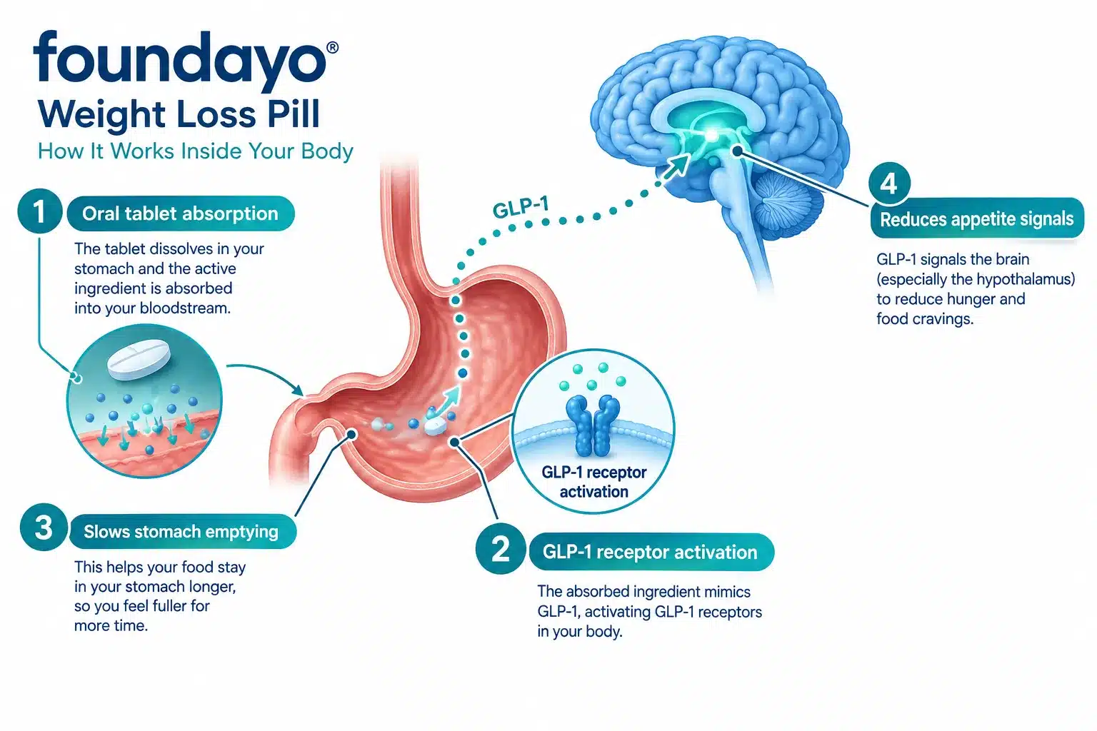 foundayo weight loss pill 2 What Is Foundayo and How Does It Work