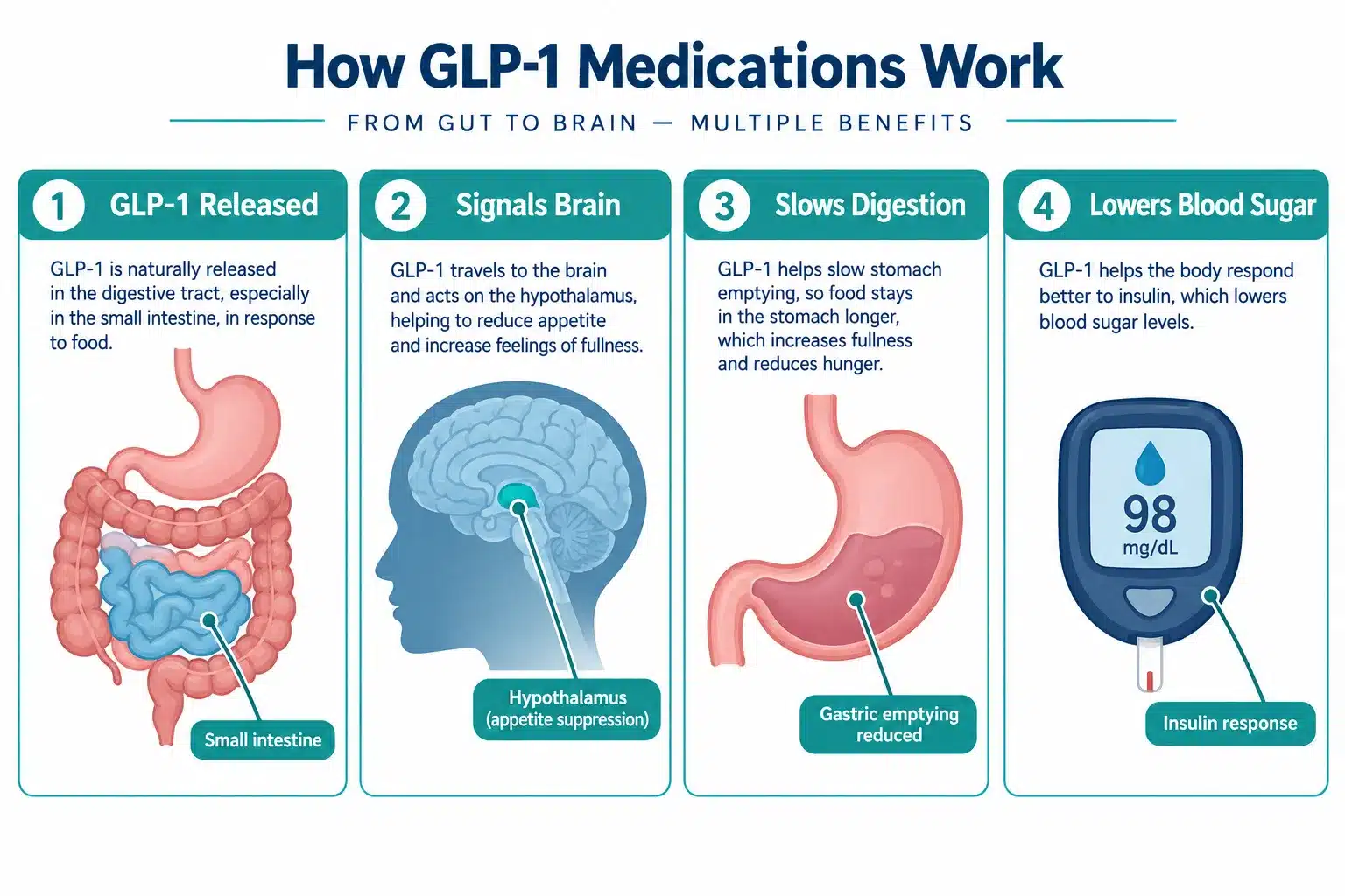 glp 1 without insurance 2 What Is GLP-1 and How Does It Work