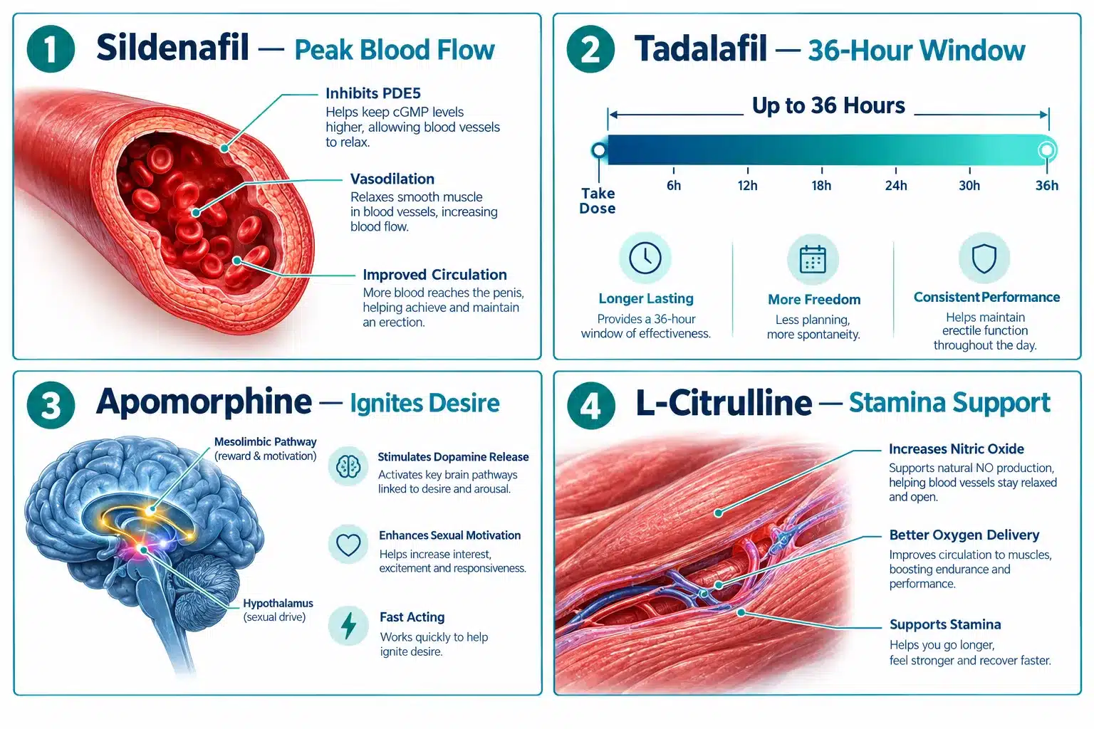 Medvi Quad Reviews: What Patients Are Saying About This Formula 2 What Is Medvi Quad and What Does It Do