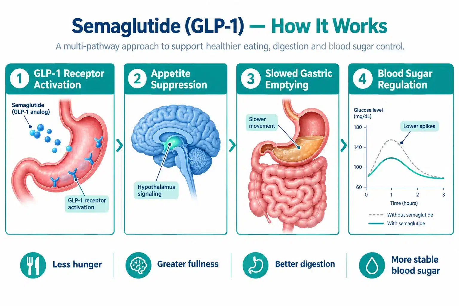 Medvi Semaglutide Reviews: Real Results and Patient Experiences 2 What Is Medvi Semaglutide and How Does It Work