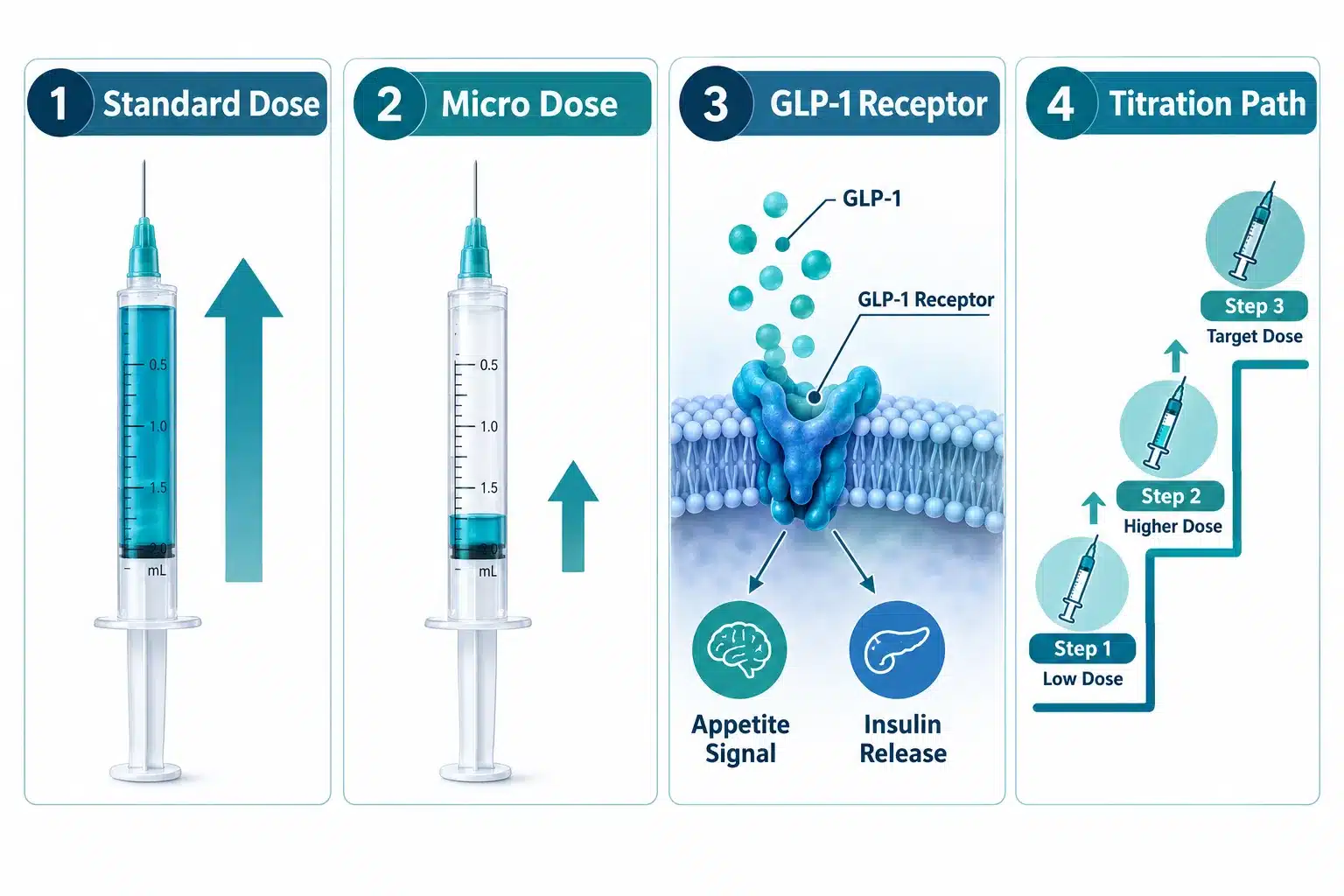 micro dose glp1 2 What Is Micro Dosing GLP1?