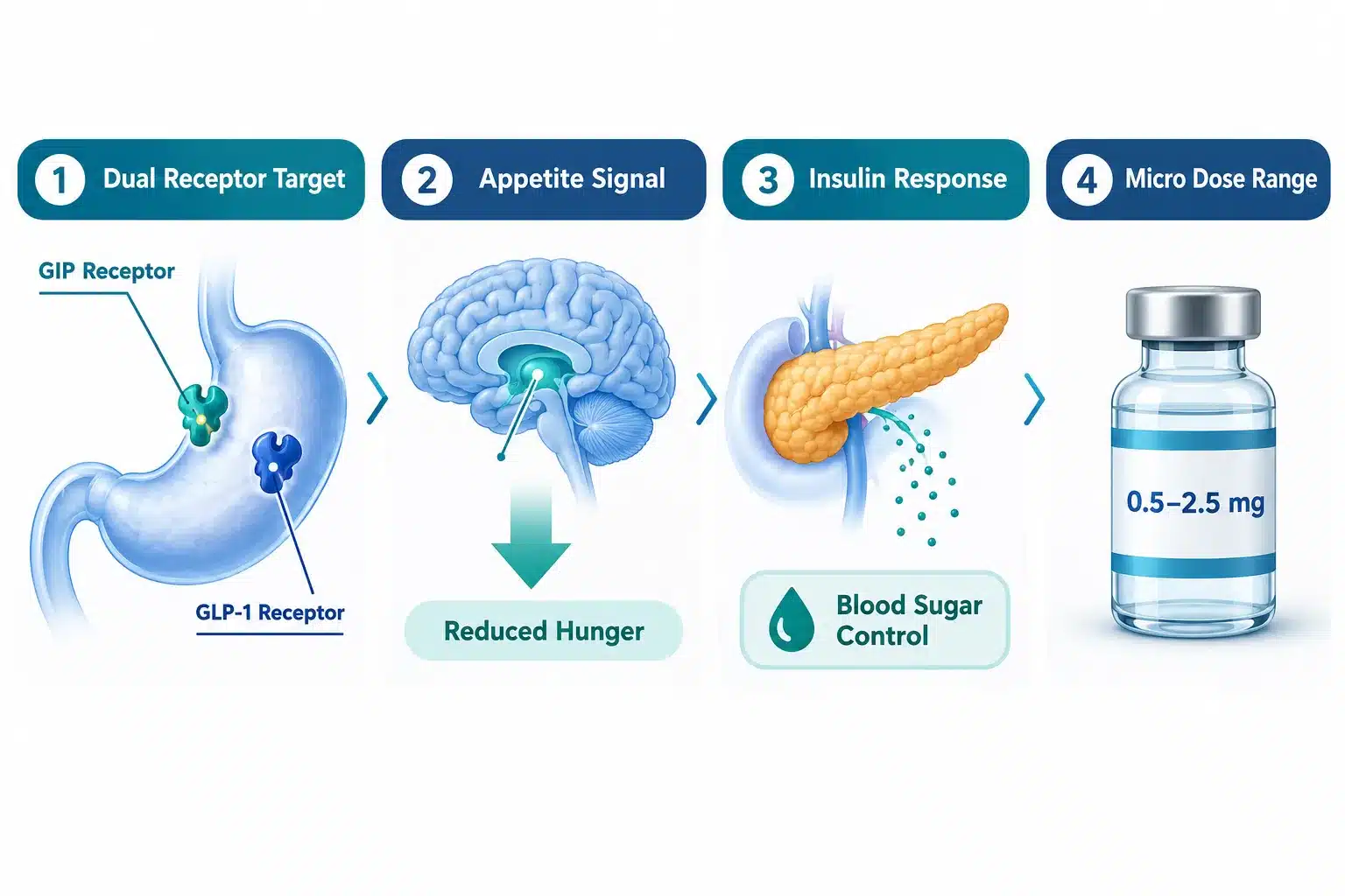 microdose tirzepatide 2 What Is Microdose Tirzepatide and How Does It Work