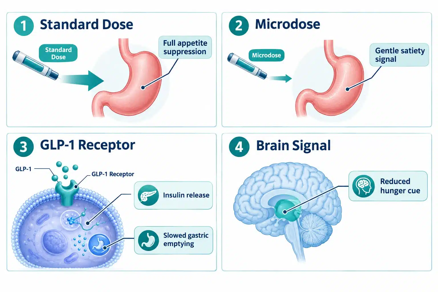 microdosing glp1 2 What Is Microdosing GLP-1 and How Does It Work